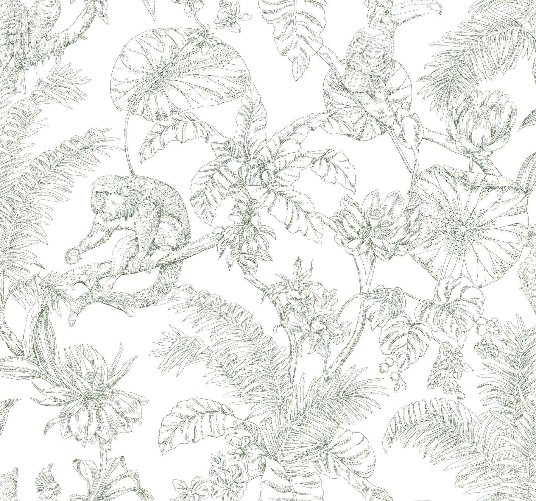 Tropical Sketch Toile Forest Wallpaper - York Wallcoverings - RT7842 - York Wallcoverings Wallpaper