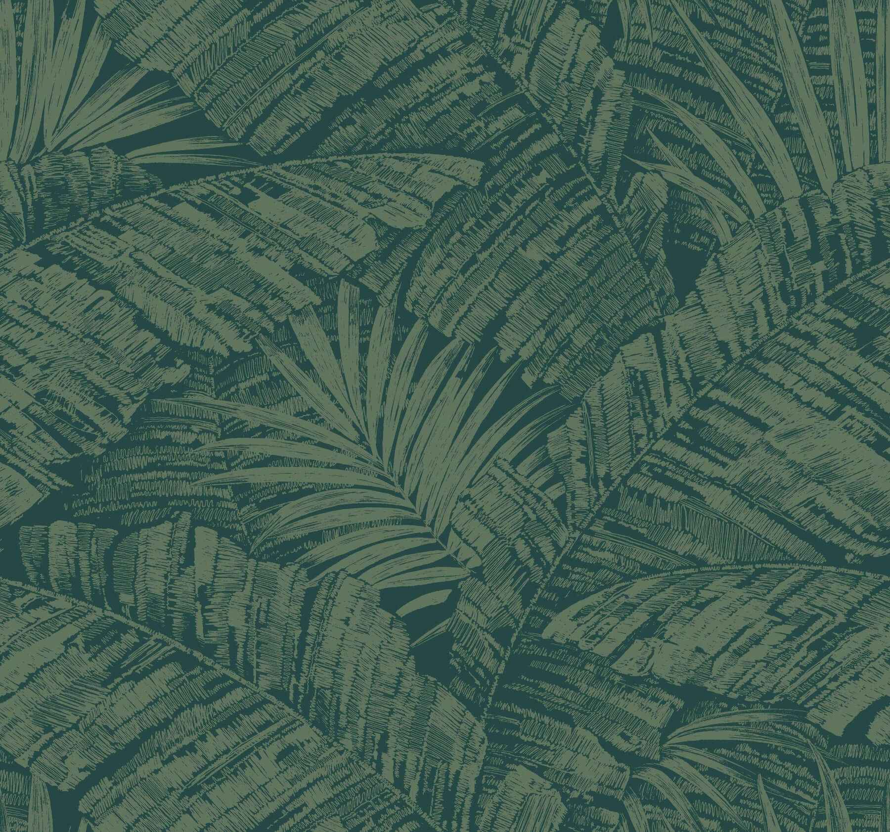 Palm Cove Toile Emerald Forest Wallpaper - York Wallcoverings - RT7924 - York Wallcoverings Wallpaper
