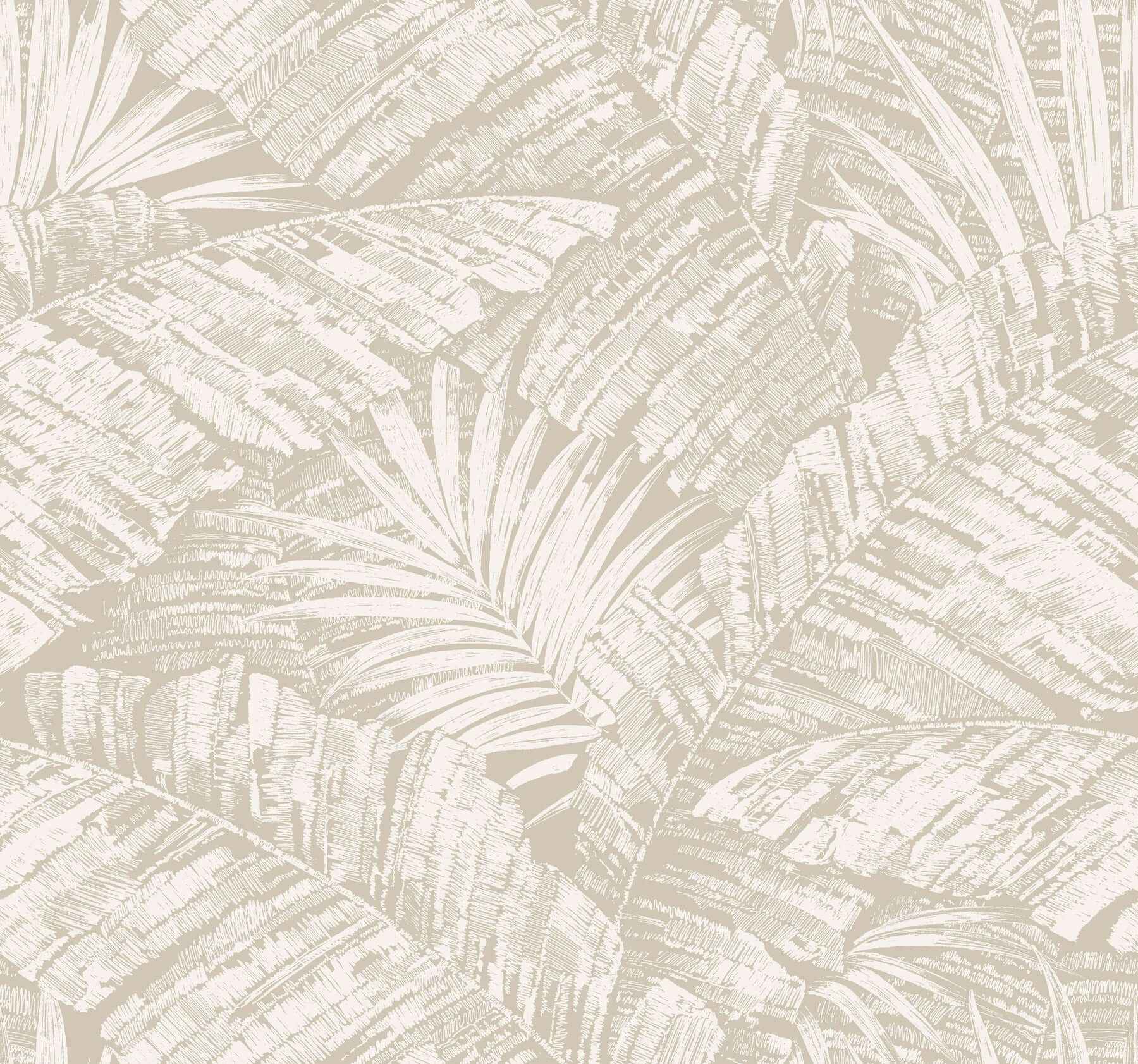 Palm Cove Toile White & Taupe Wallpaper - York Wallcoverings - RT7926 - York Wallcoverings Wallpaper