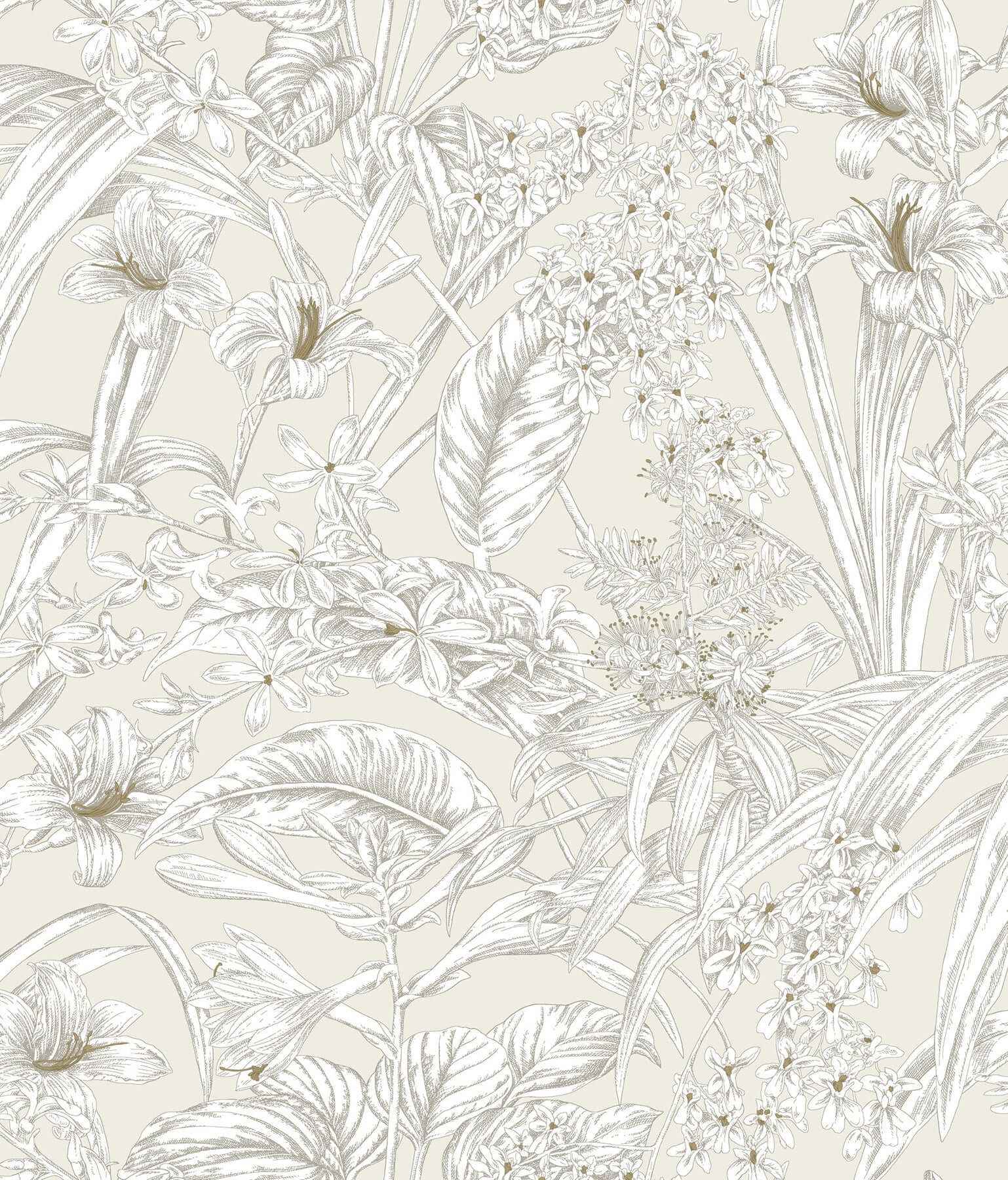 Orchid Conservatory Toile Beige & Taupe Wallpaper - York Wallcoverings - RT7883 - York Wallcoverings Wallpaper