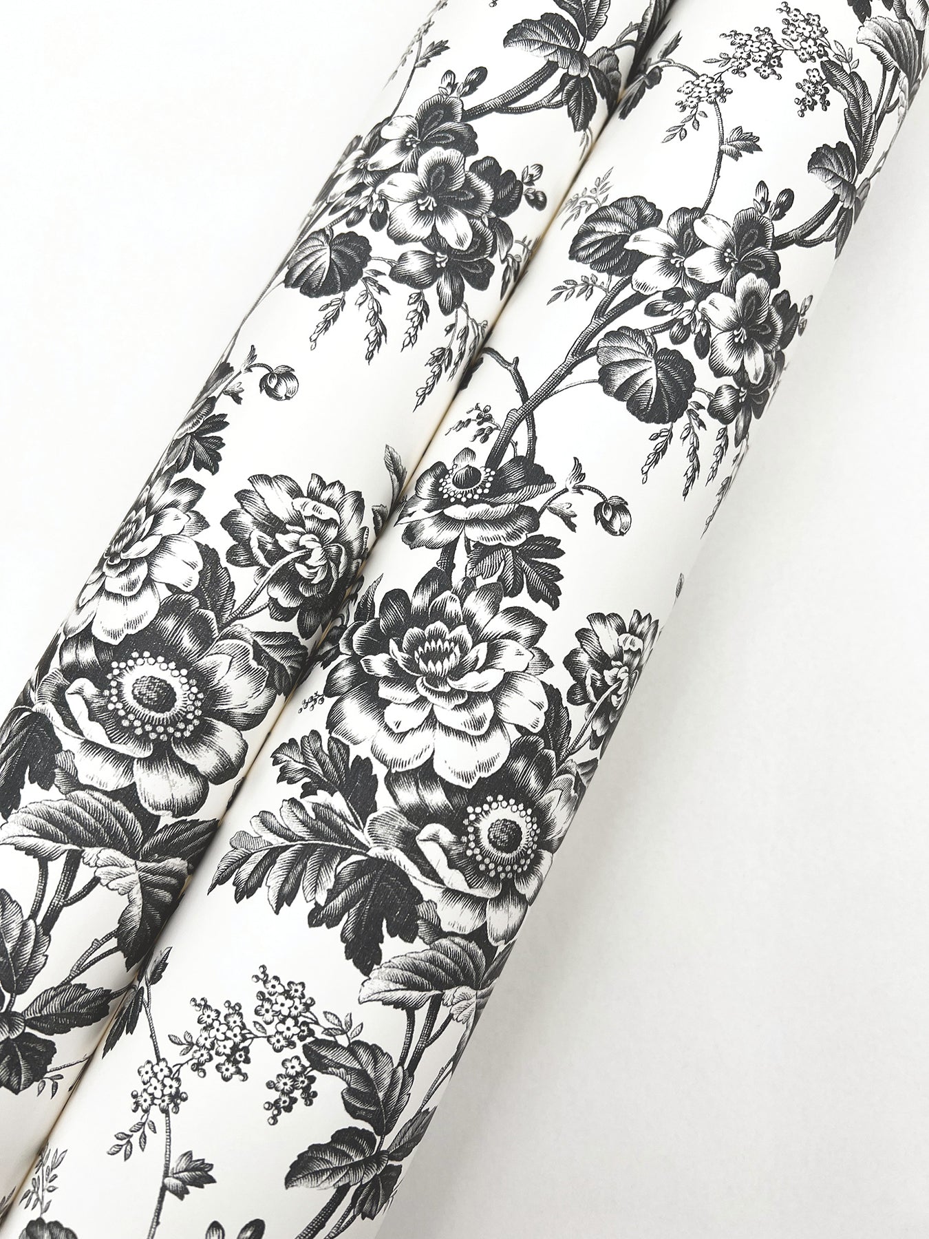 anemone-toile-wallpaper-black-york-wallcoverings-rt7875