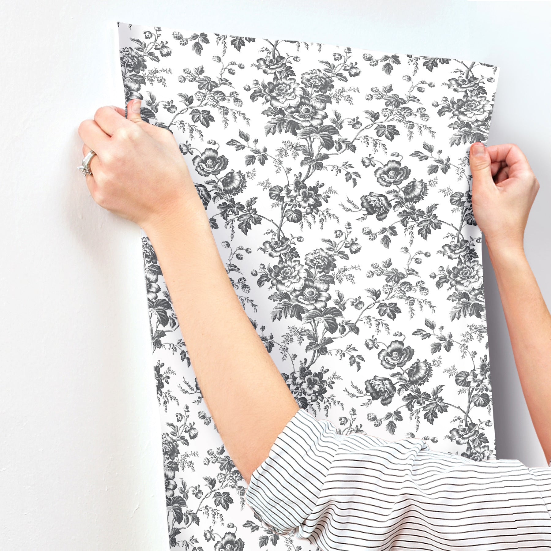 anemone-toile-wallpaper-black-york-wallcoverings-rt7875