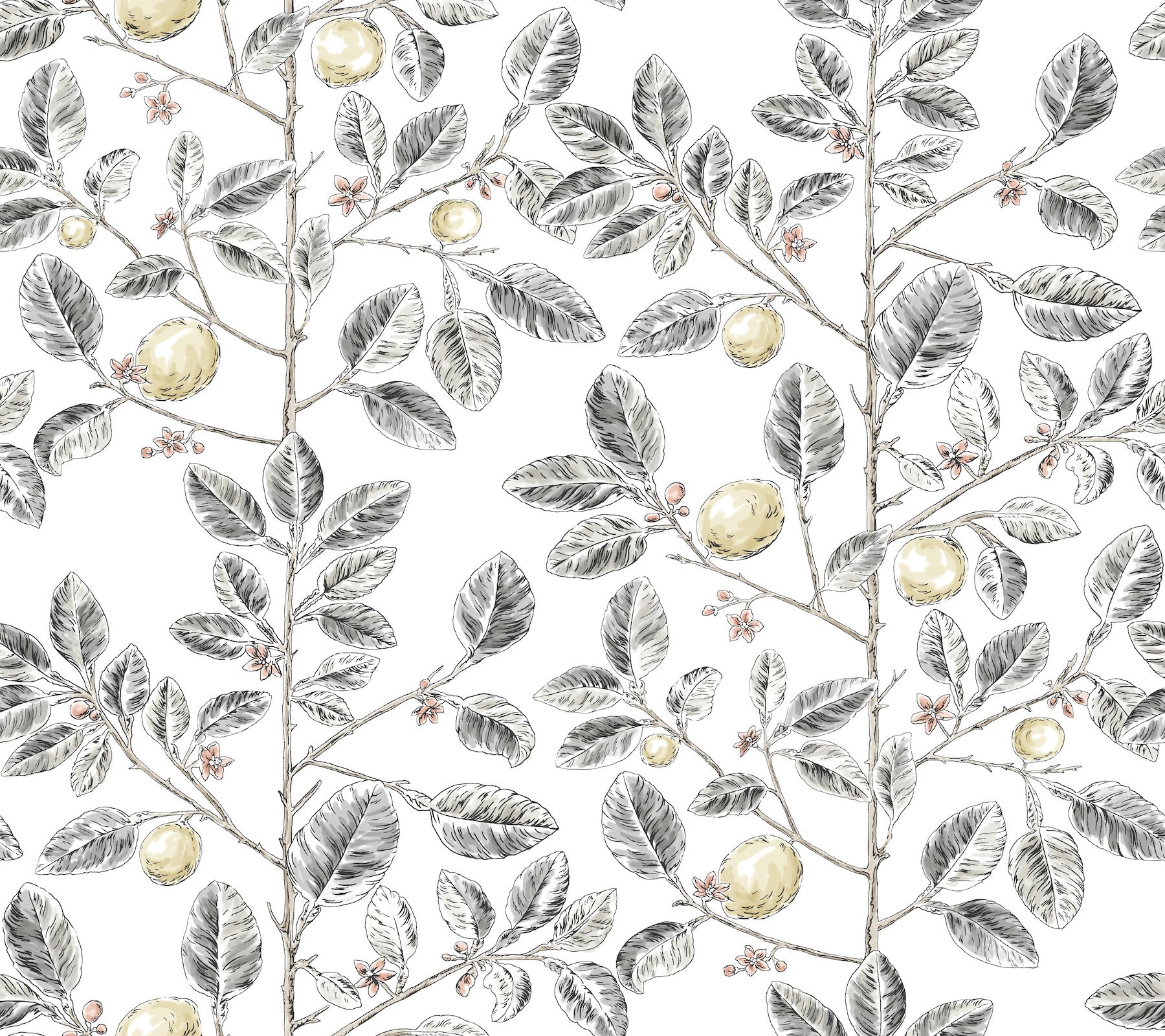 limoncello-toile-wallpaper-black-york-wallcoverings-rt7912