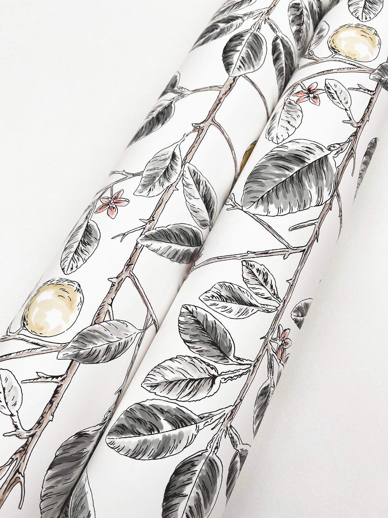 limoncello-toile-wallpaper-black-york-wallcoverings-rt7912