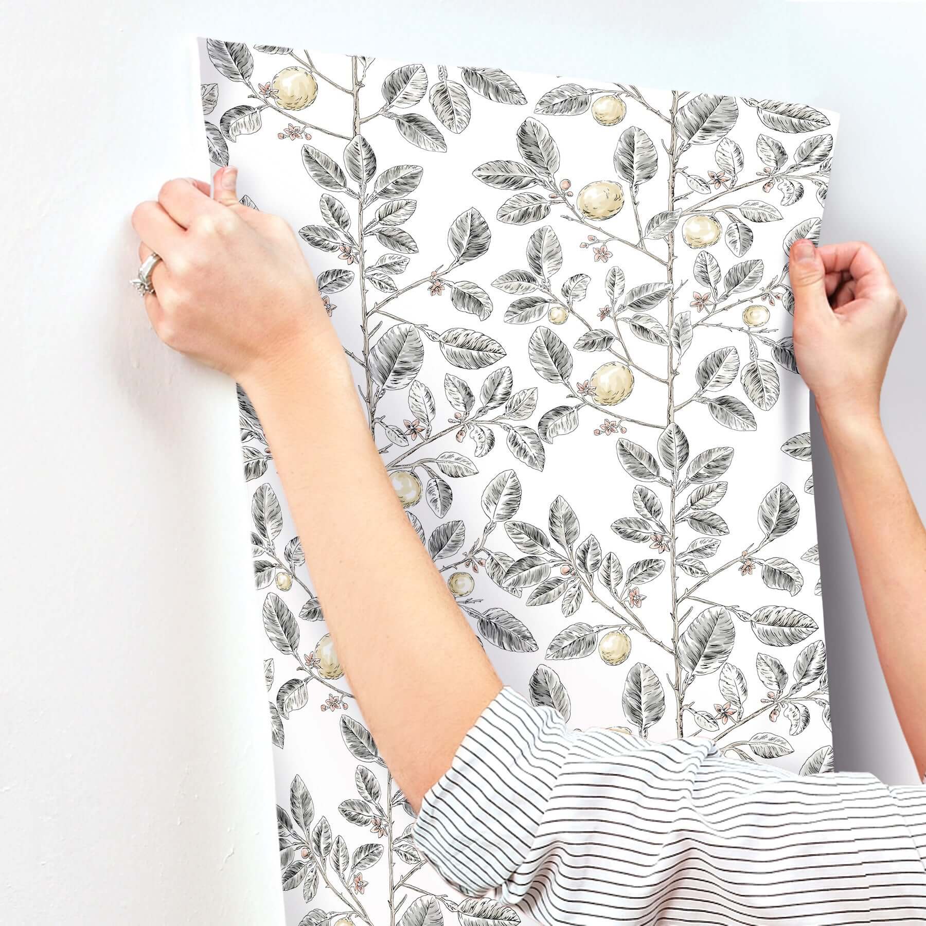 limoncello-toile-wallpaper-black-york-wallcoverings-rt7912 - York Wallcoverings Wallpaper