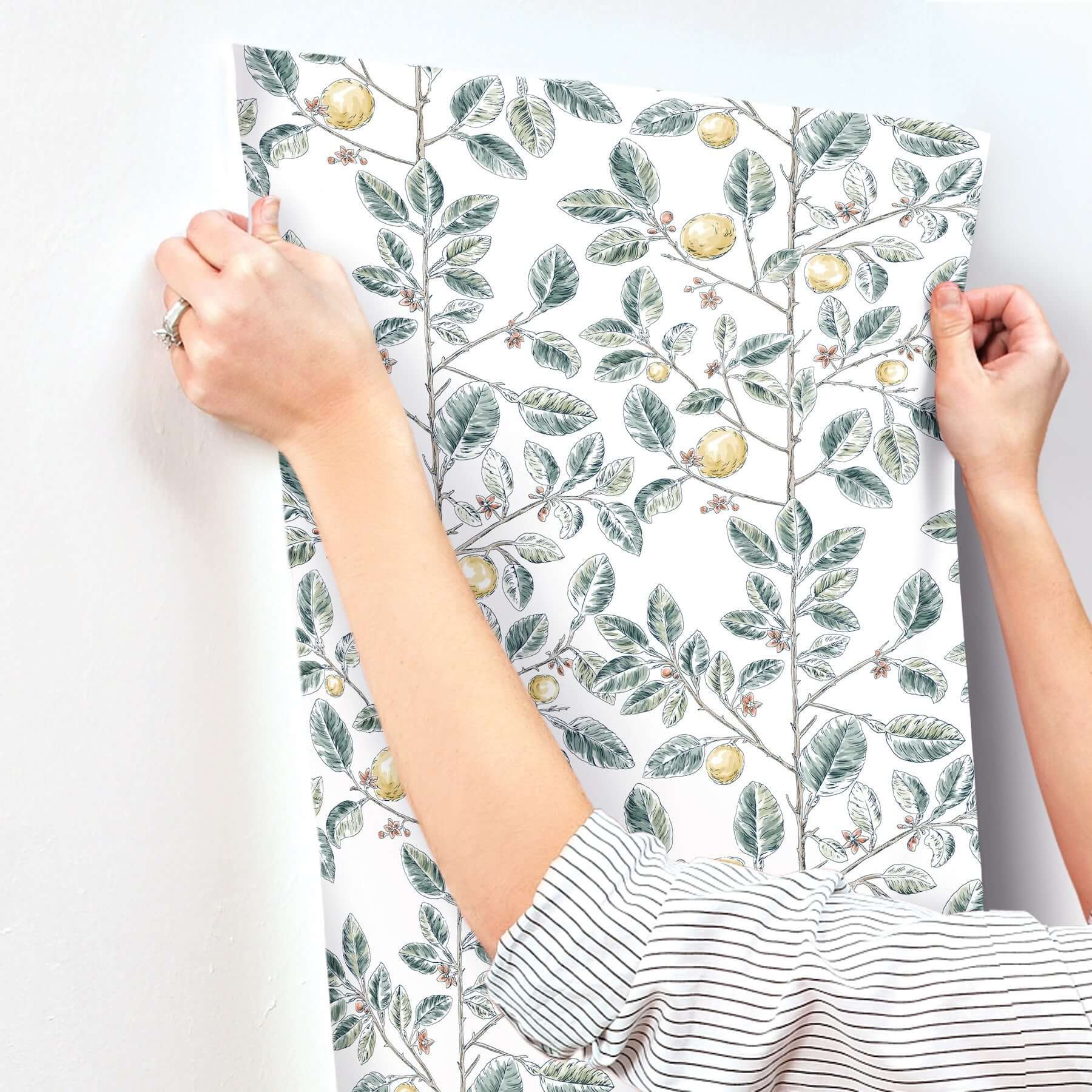 limoncello-toile-wallpaper-forest-york-wallcoverings-rt7914 - York Wallcoverings Wallpaper
