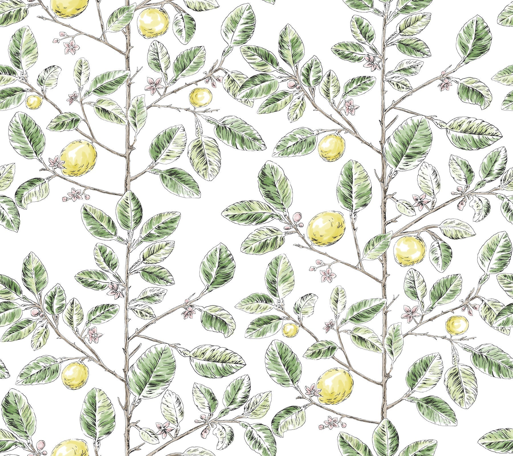 limoncello-toile-wallpaper-green-york-wallcoverings-rt7911