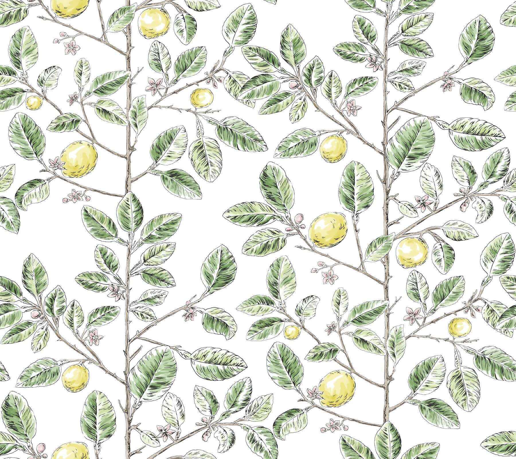 Limoncello Toile Green Wallpaper - York Wallcoverings - RT7911 - York Wallcoverings Wallpaper