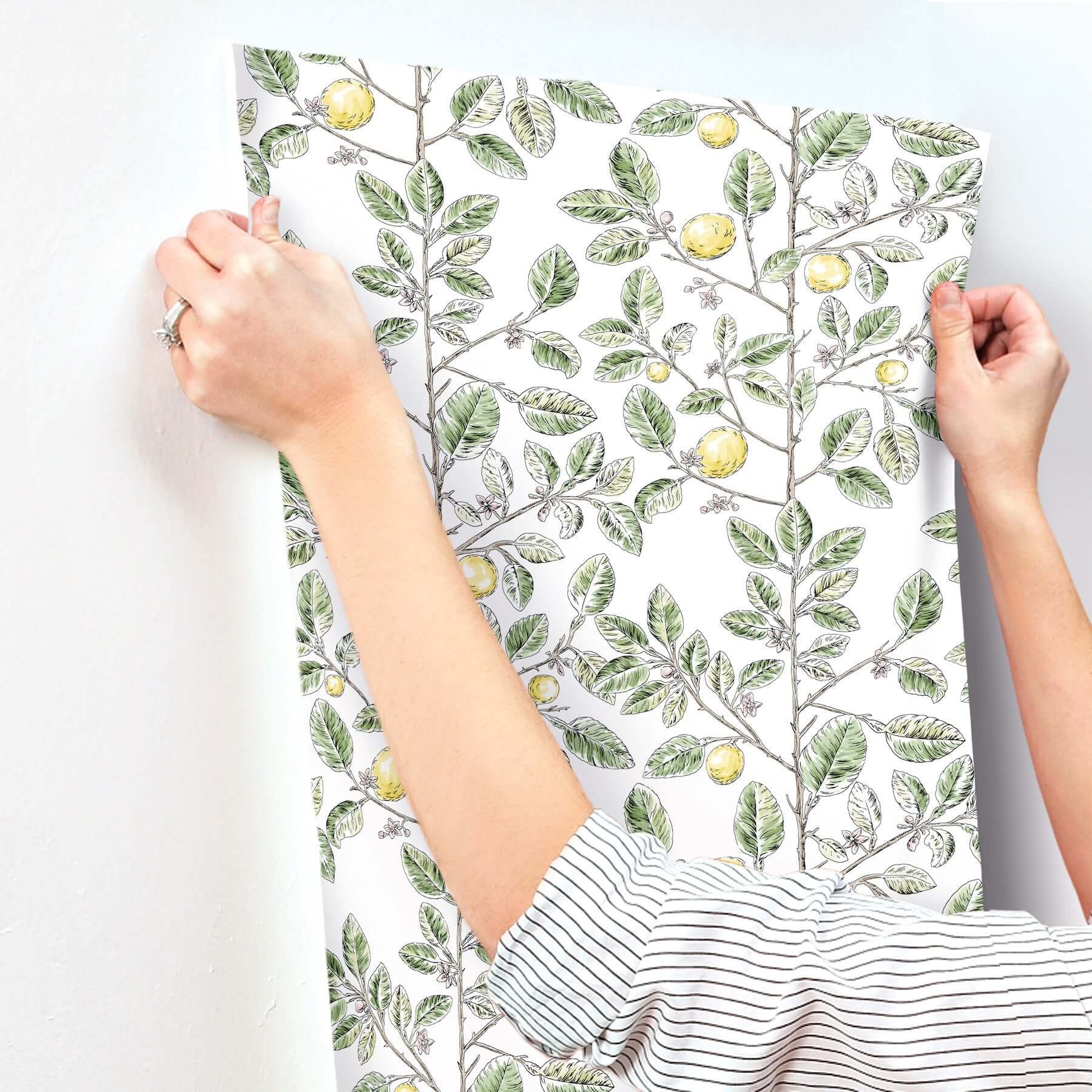 limoncello-toile-wallpaper-green-york-wallcoverings-rt7911 - York Wallcoverings Wallpaper