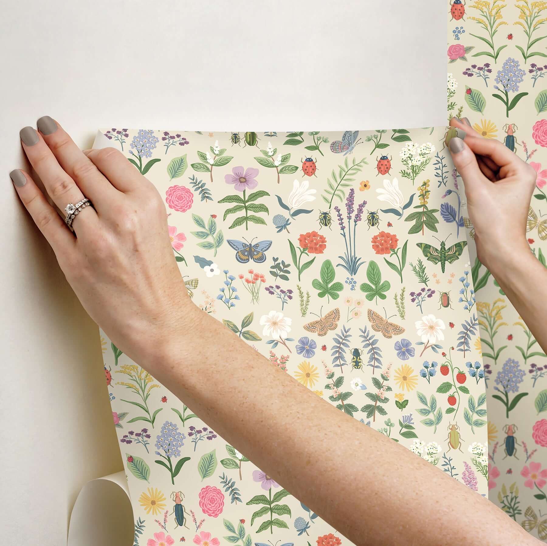 curio-peel-stick-wallpaper-cream-york-wallcoverings-psw1542rl - York Wallcoverings Wallpaper