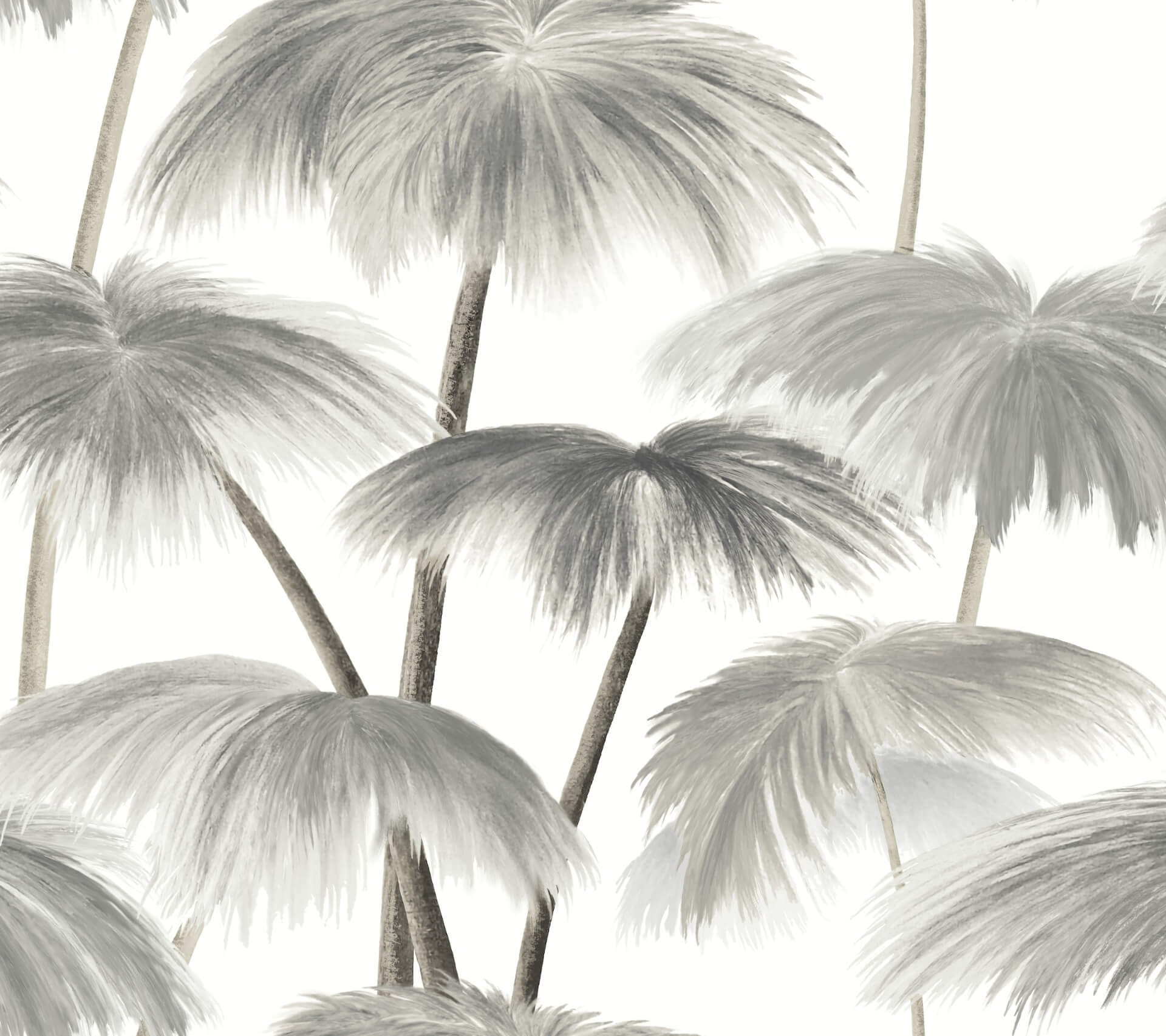 plein-air-palms-black-white-wallpaper-york-wallcoverings-lm5432