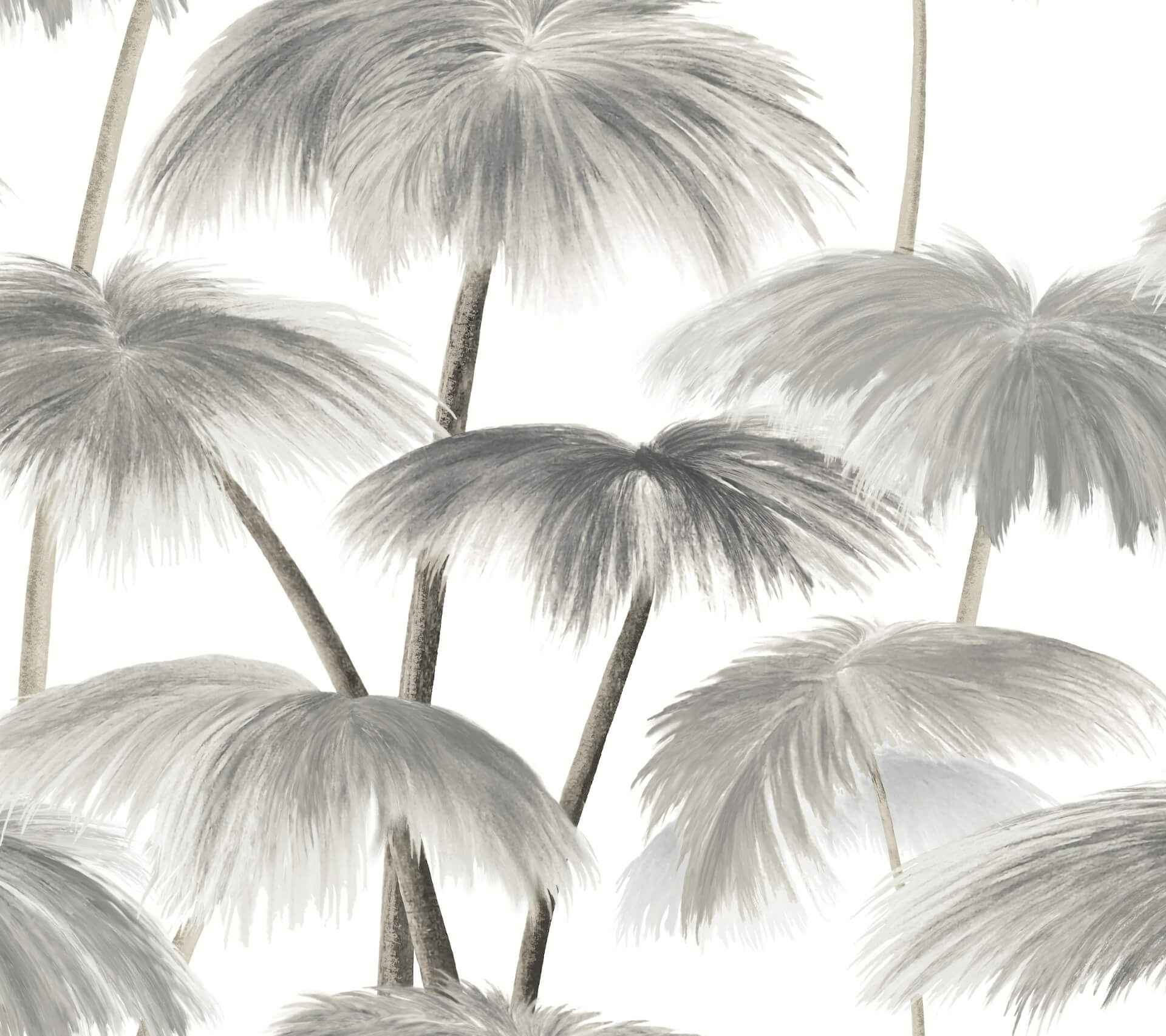 Plein Air Palms Black & White Wallpaper - York Wallcoverings - LM5432 - York Wallcoverings Wallpaper