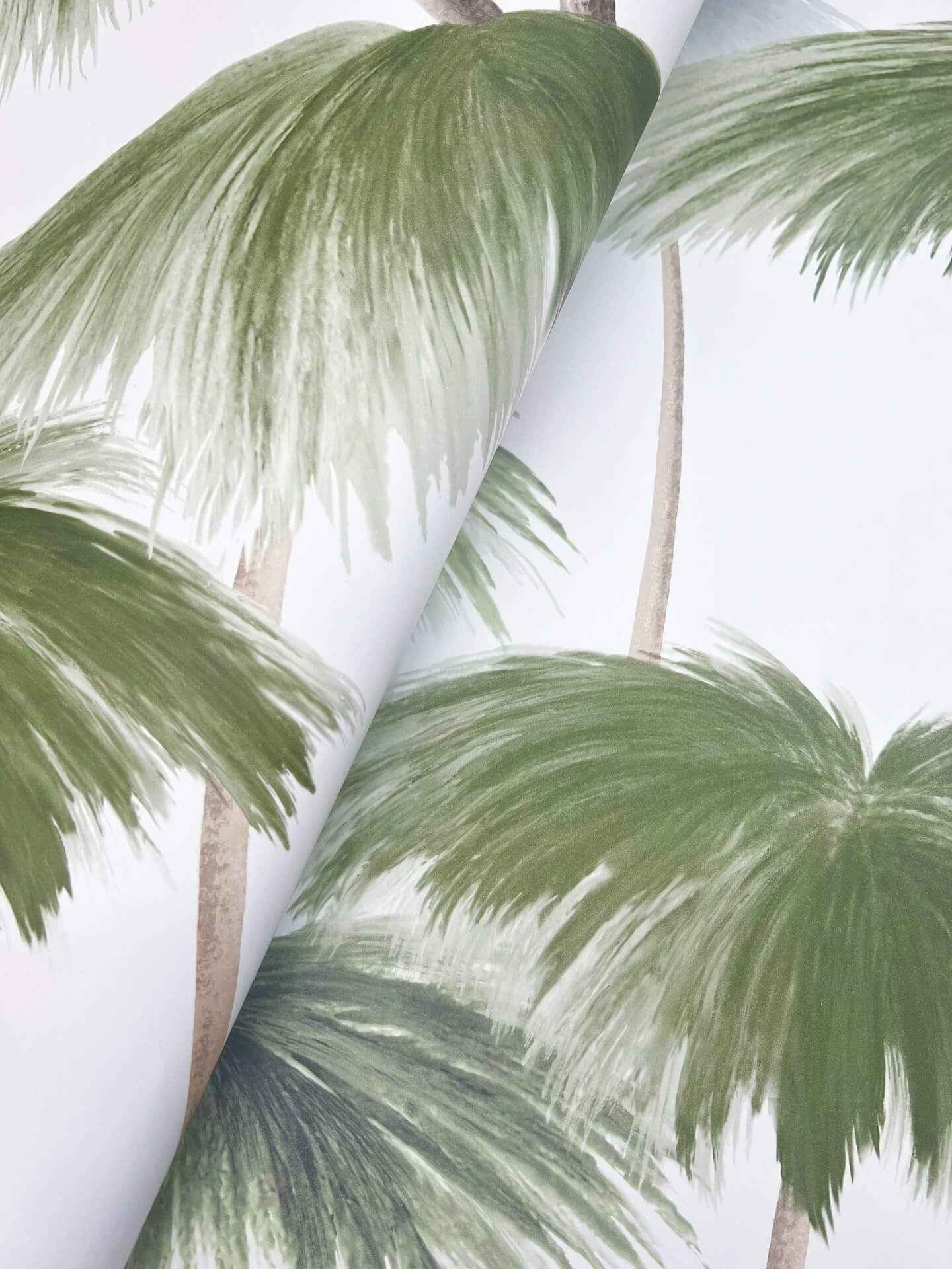Plein Air Palms Green Wallpaper - York Wallcoverings - LM5431 - York Wallcoverings Wallpaper