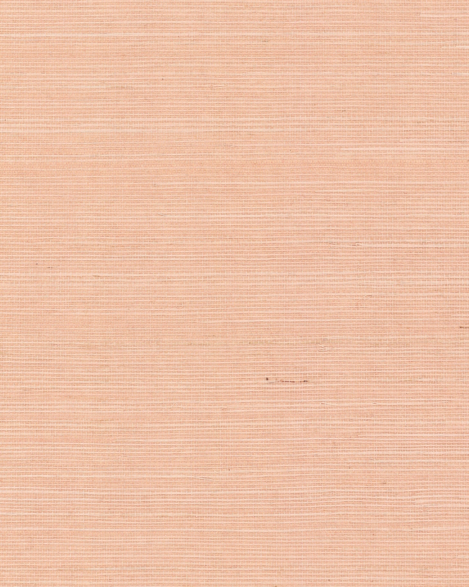 maguey-cameo-sisal-wallpaper-cameo-york-wallcoverings-gv0126nw