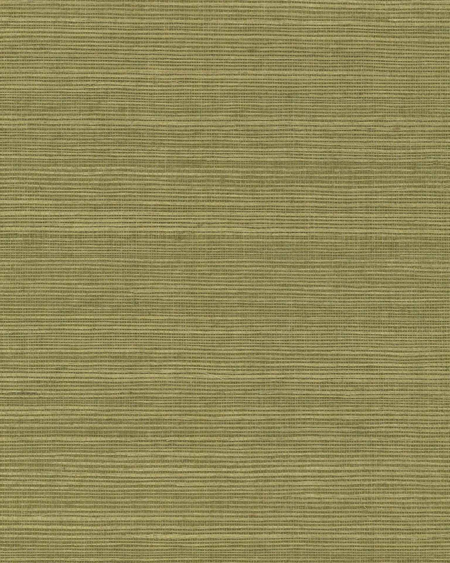 Maguey Sisal Fern Wallpaper - York Wallcoverings - GV0145NW