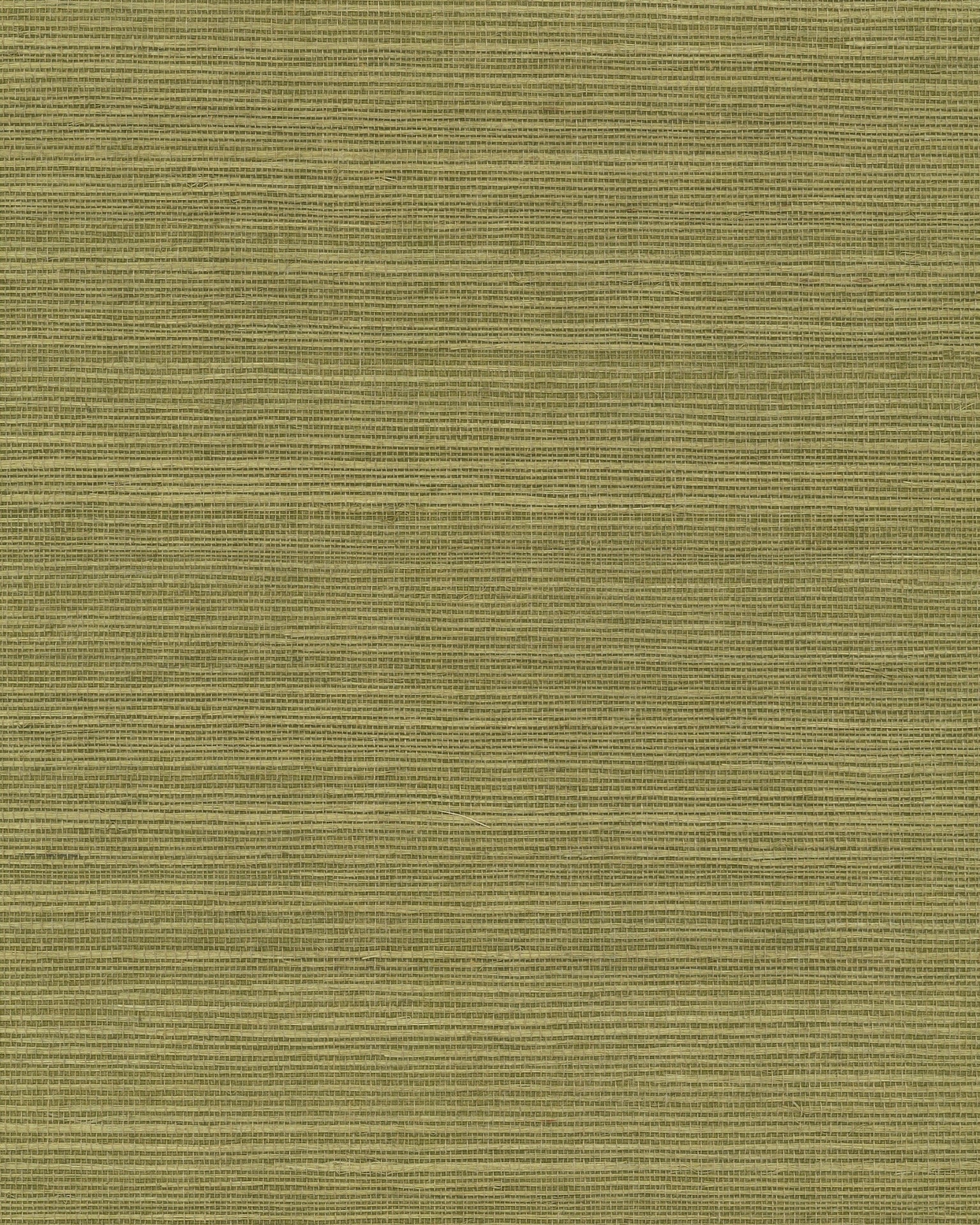maguey-fern-sisal-wallpaper-fern-york-wallcoverings-gv0145nw