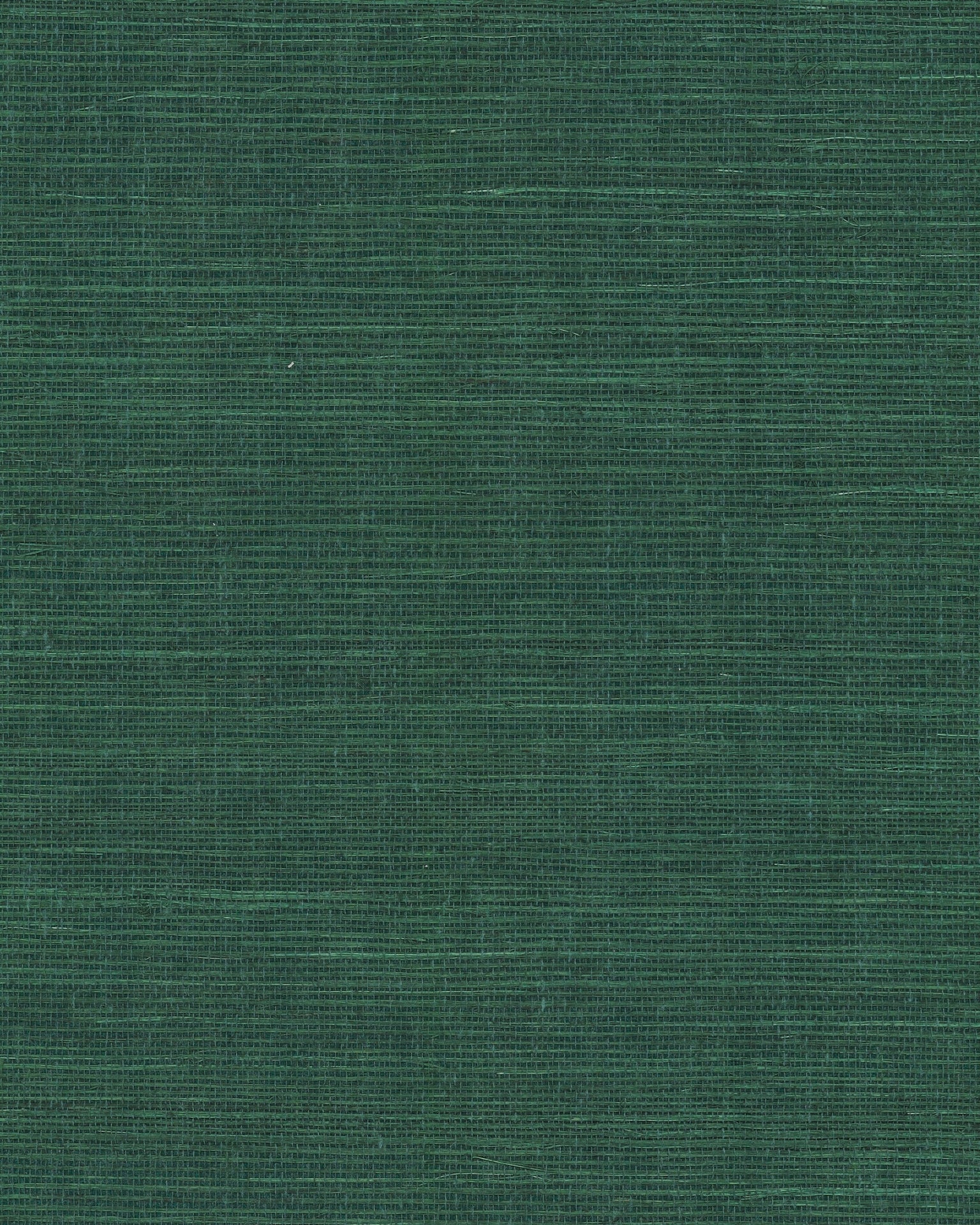 maguey-forest-sisal-wallpaper-forest-york-wallcoverings-gv0148nw