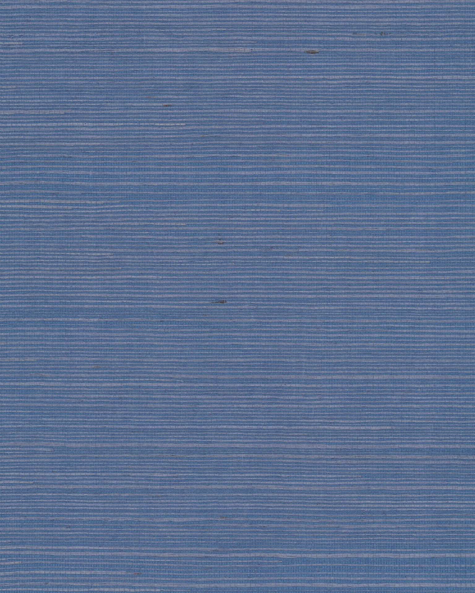maguey-bluebell-sisal-wallpaper-bluebell-york-wallcoverings-gv0161nw
