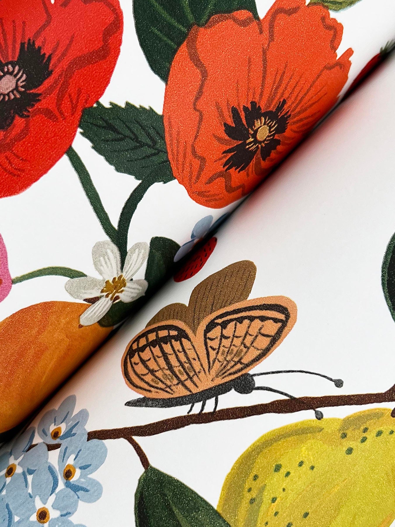 flower-studies-wallpaper-bright-multi-york-wallcoverings-rf7402