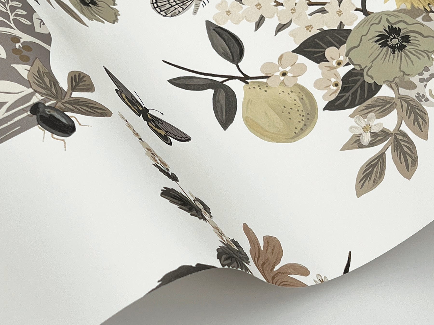 flower-studies-wallpaper-linen-multi-york-wallcoverings-rf7403