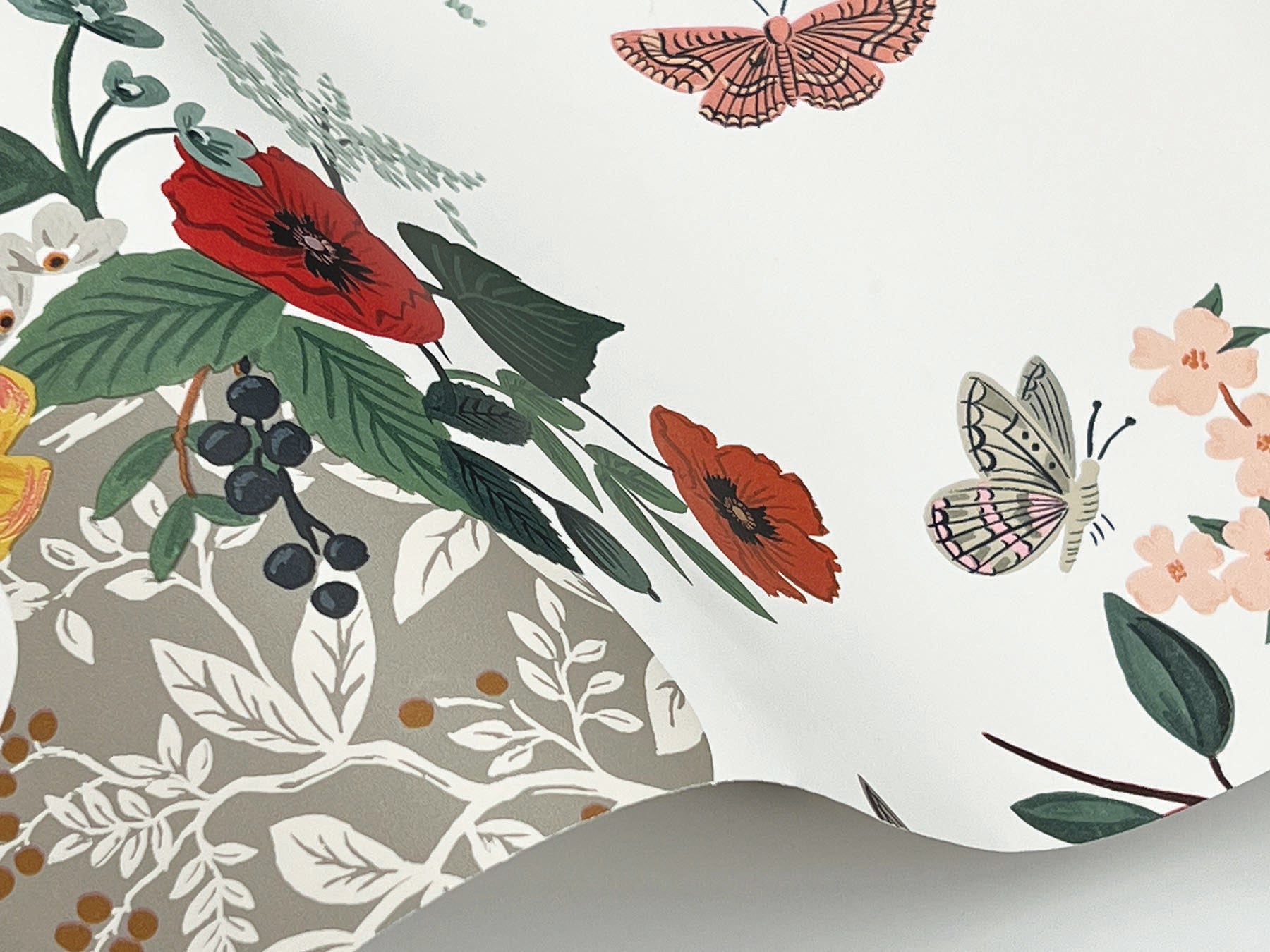 flower-studies-wallpaper-rose-multi-york-wallcoverings-rf7404