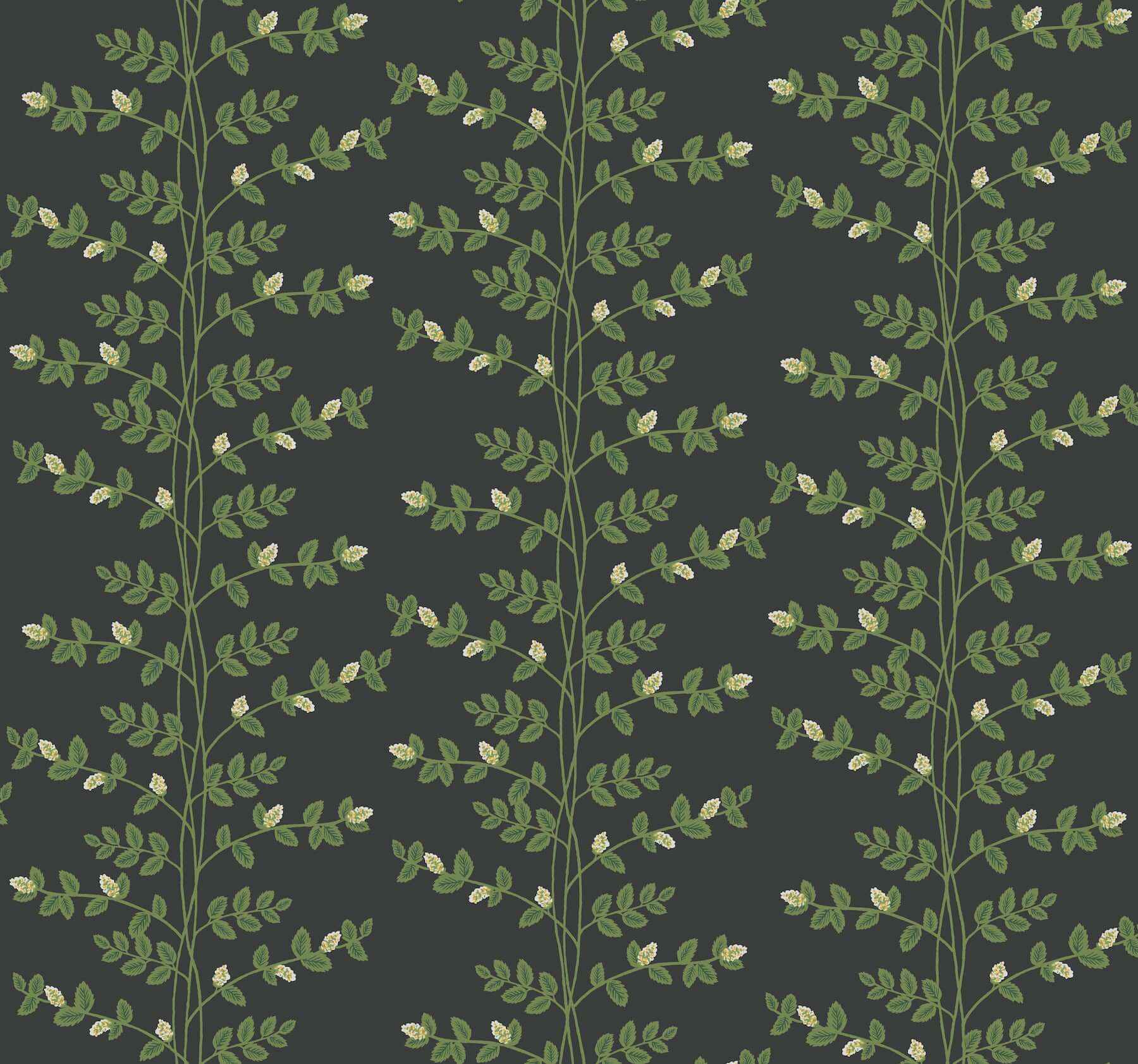 Climbing Vine Black Wallpaper - York Wallcoverings - RF7422