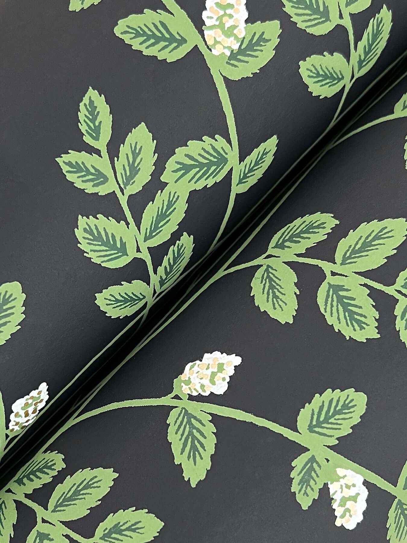 Climbing Vine Black Wallpaper - York Wallcoverings - RF7422 - York Wallcoverings Wallpaper