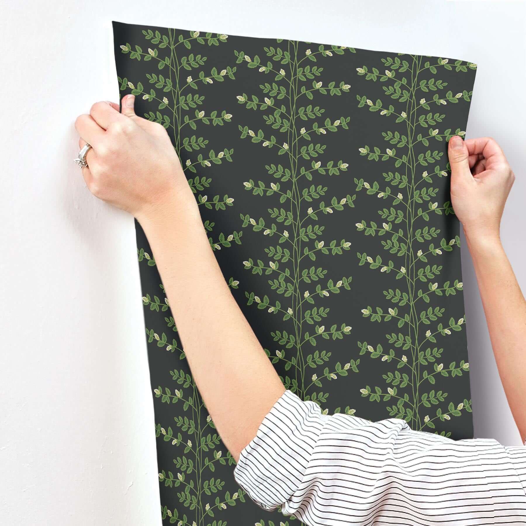 climbing-vine-wallpaper-black-york-wallcoverings-rf7422 - York Wallcoverings Wallpaper
