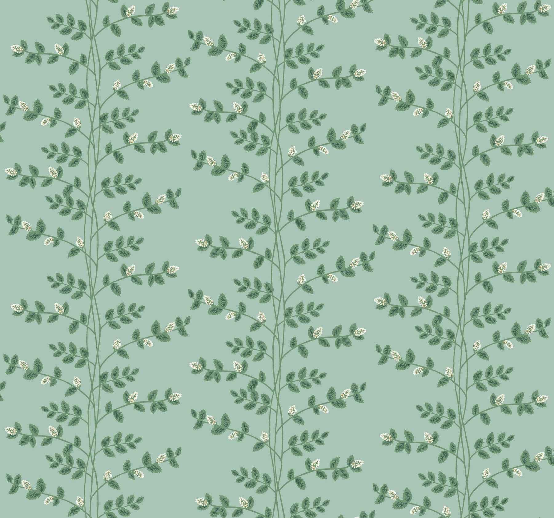 Climbing Vine Soft Teal Wallpaper - York Wallcoverings - RF7421 - York Wallcoverings Wallpaper