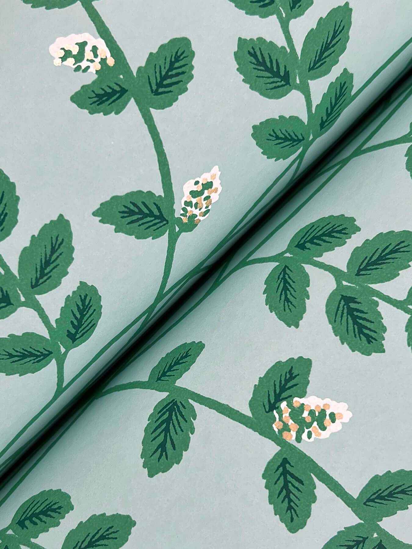Climbing Vine Soft Teal Wallpaper - York Wallcoverings - RF7421 - York Wallcoverings Wallpaper
