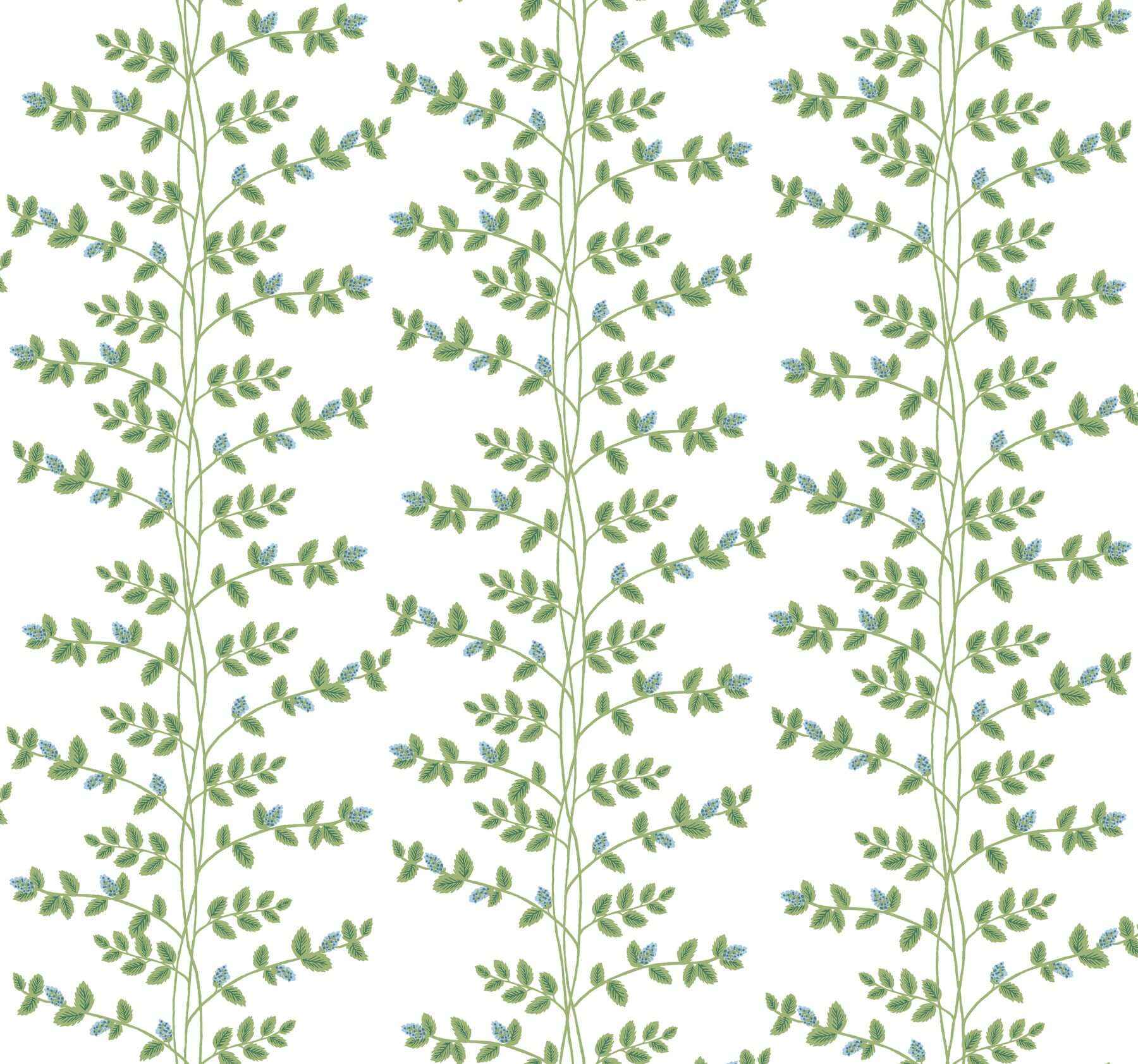 Climbing Vine Blue Wallpaper - York Wallcoverings - RF7425