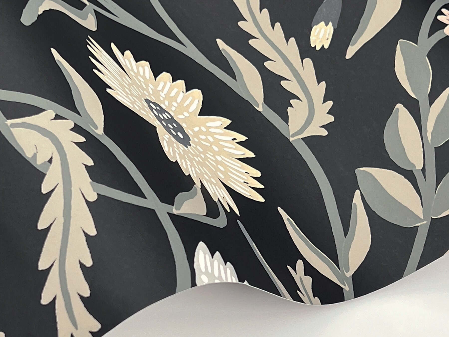 aster-black-wallpaper-york-wallcoverings-rf7434 - York Wallpaper Wallpaper