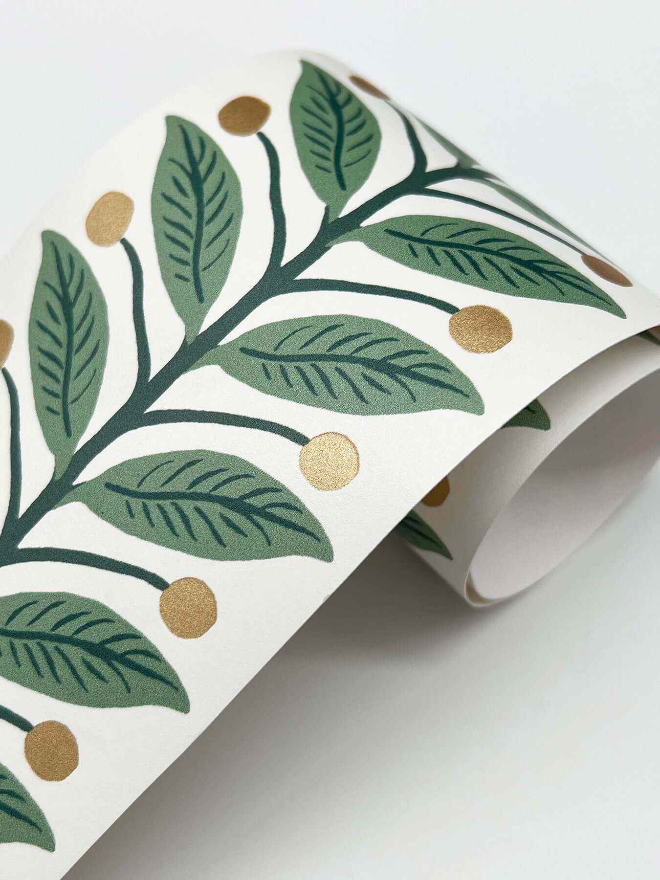 Green Garden Wallpaper Trim - York Wallcoverings - RF7531B - York Wallcoverings Wallpaper