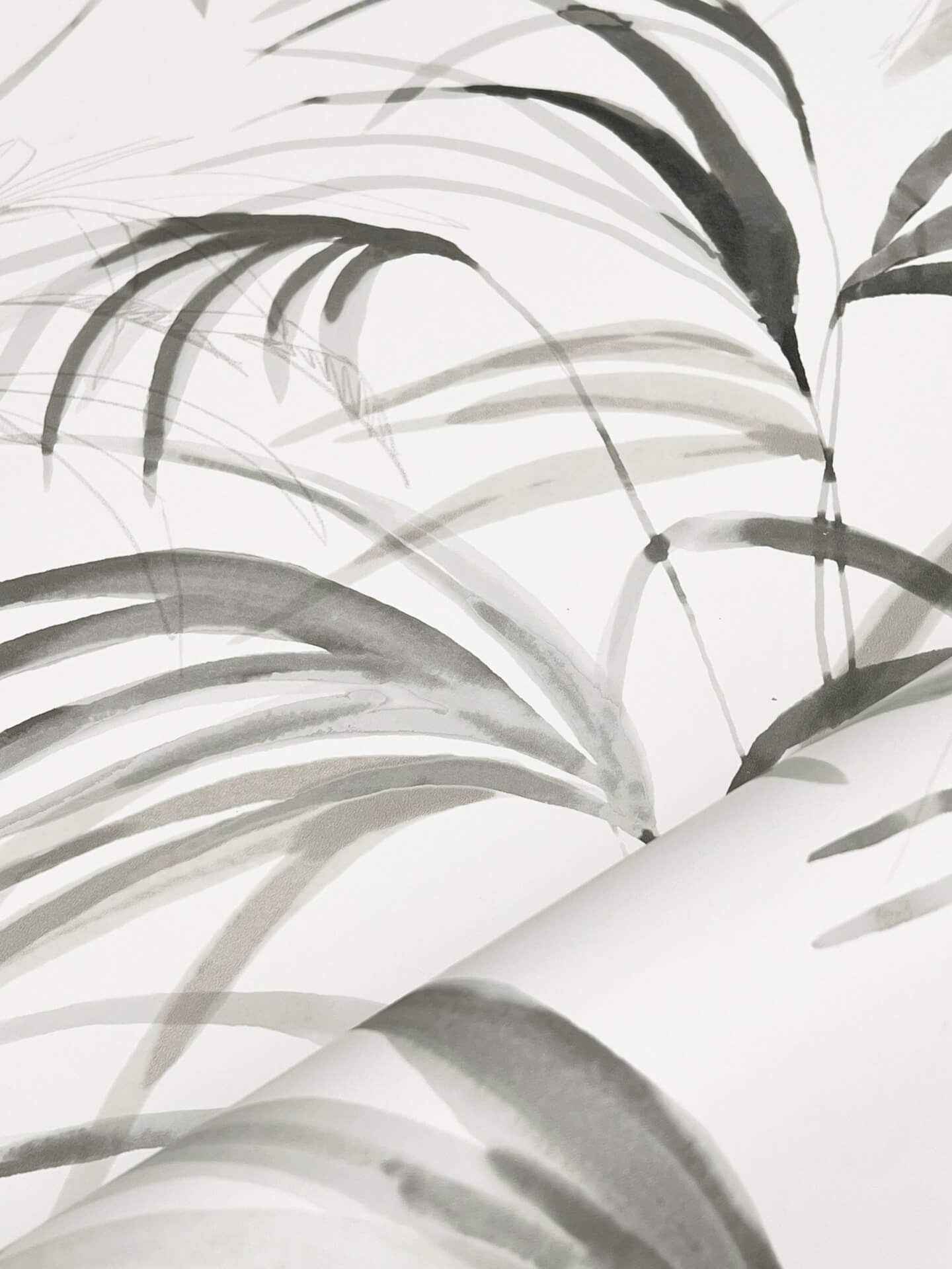 Inky Black Palms Wallpaper - York Wallcoverings - NT6123 - York Wallcoverings Wallpaper