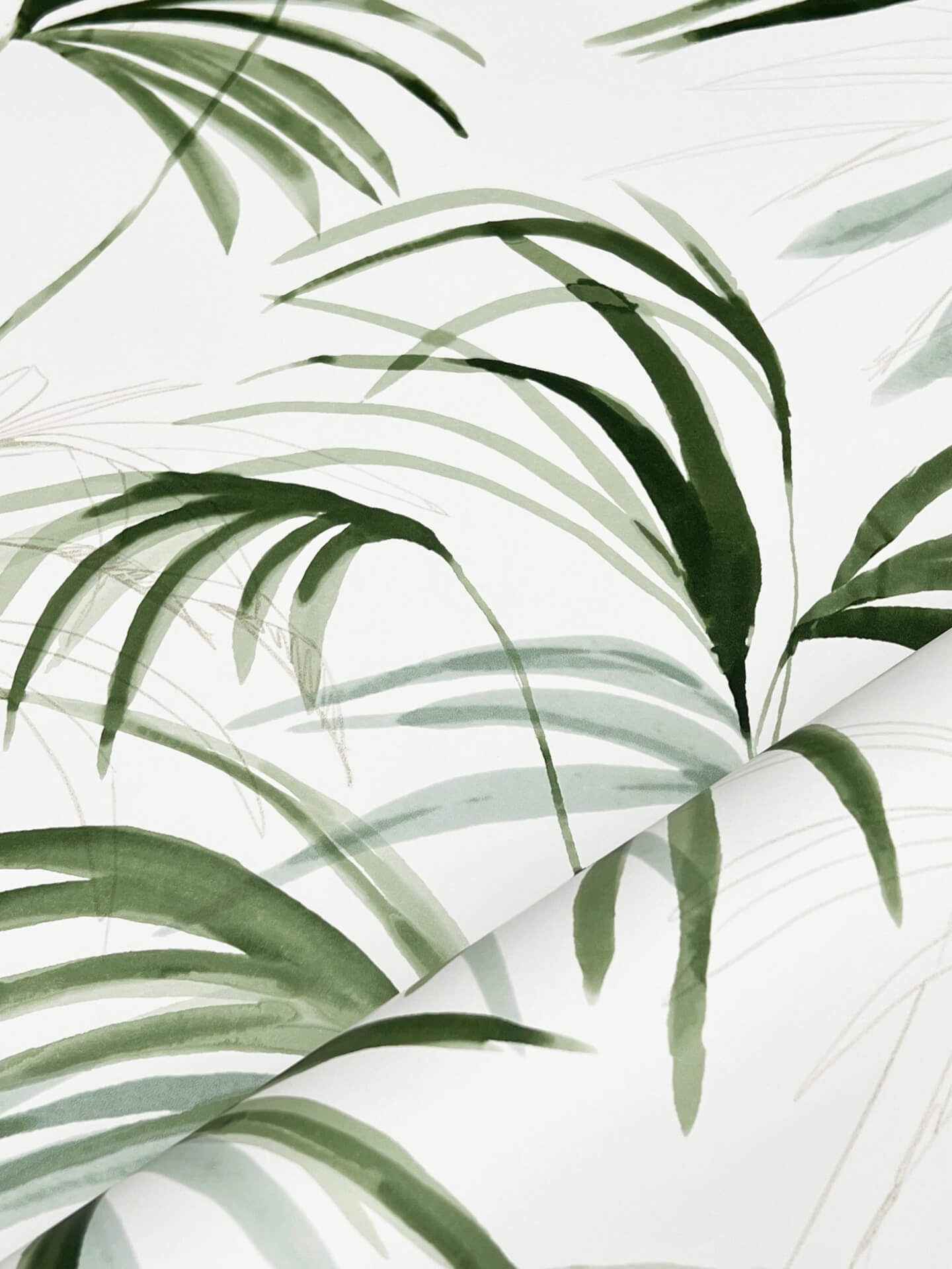 Inky Green Palms Wallpaper - York Wallcoverings - NT6121 - York Wallcoverings Wallpaper