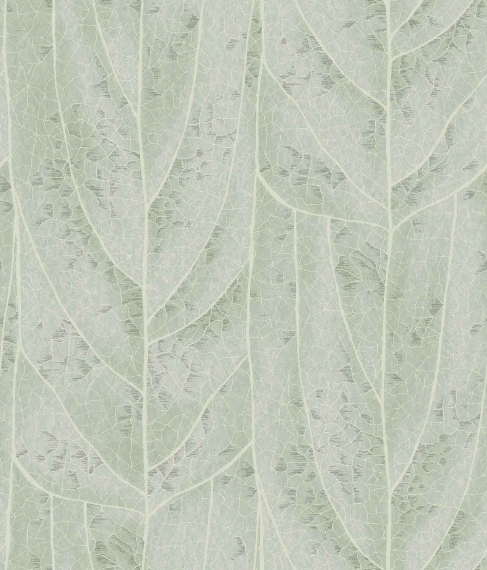 Dicot Spa Leaf Wallpaper - York Wallcoverings - NT6141 - York Wallcoverings Wallpaper
