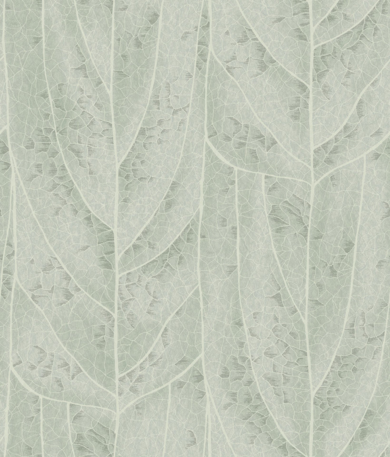 dicot-spa-leaf-wallpaper-spa-york-wallcoverings-nt6141