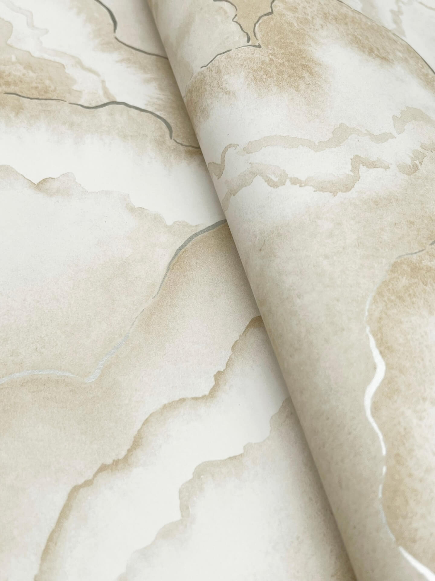 abalone-sand-fans-wallpaper-york-wallcoverings-nt6182 - York Wallpaper Wallpaper