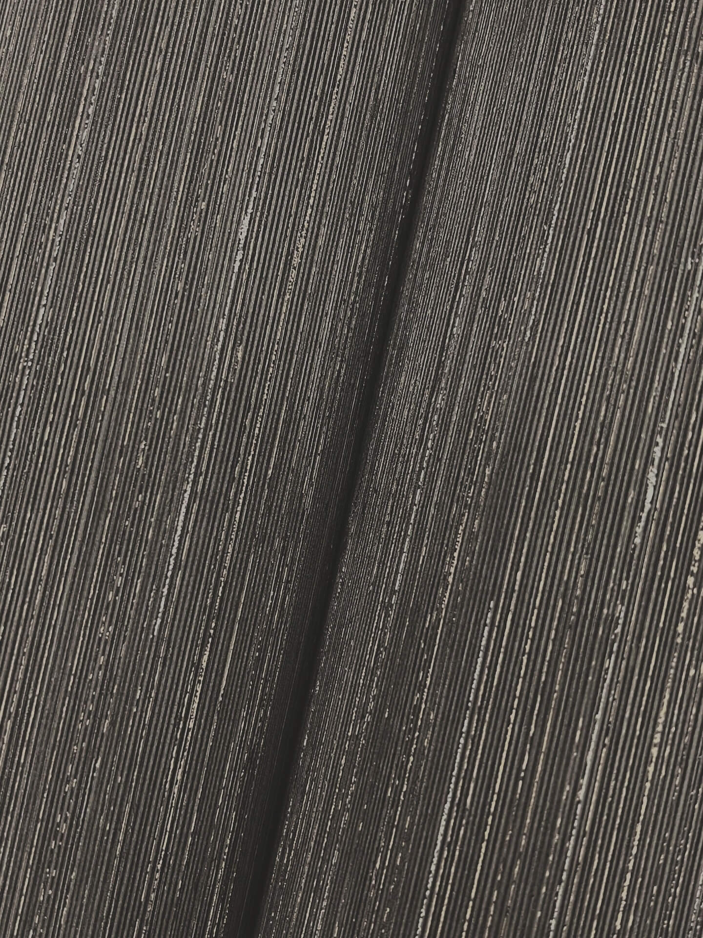 quiet-vista-ebony-wallpaper-york-wallcoverings-nt6203n - York Wallpaper Wallpaper