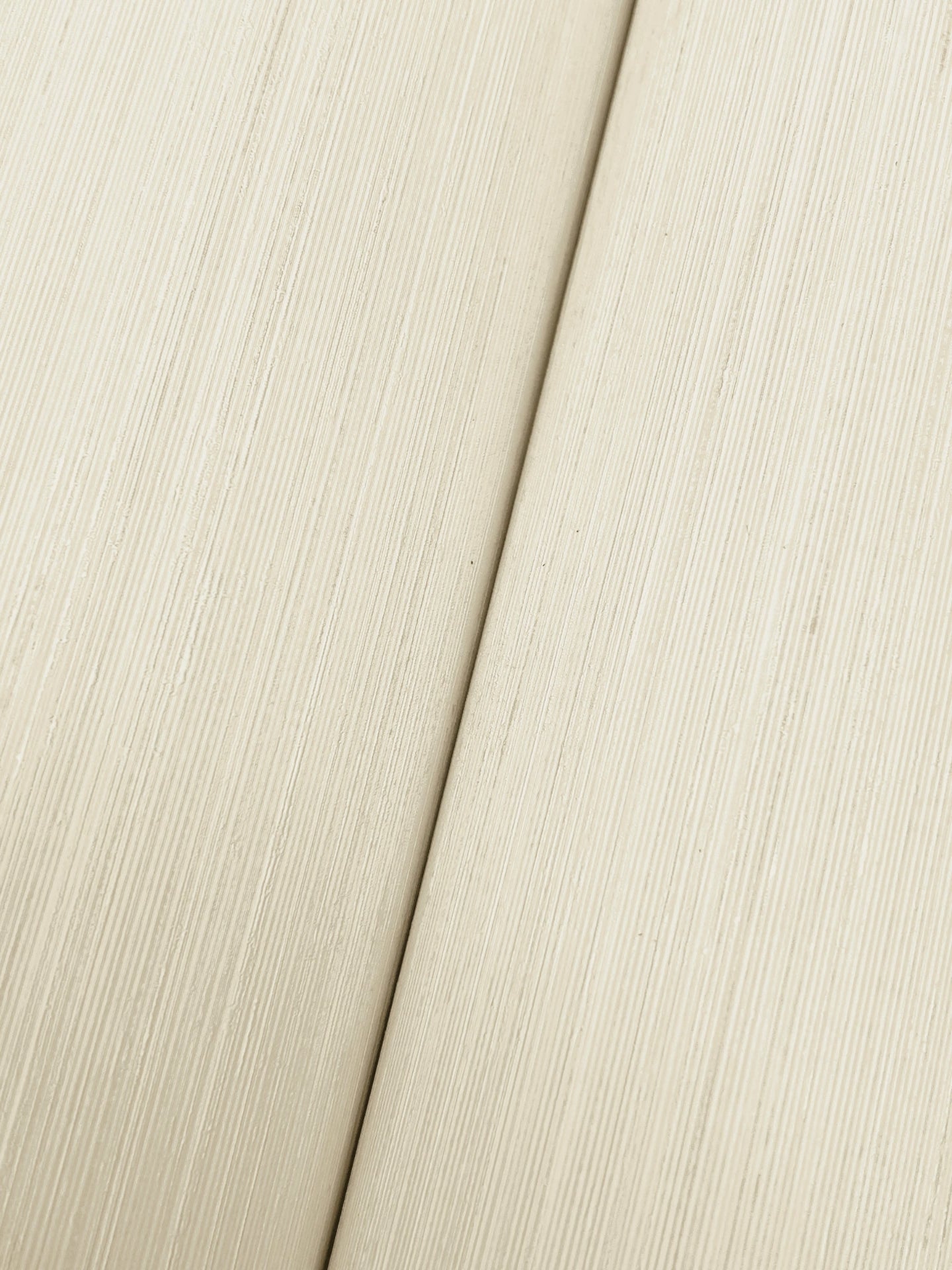 quiet-vista-wallpaper-shell-york-wallcoverings-nt6206n