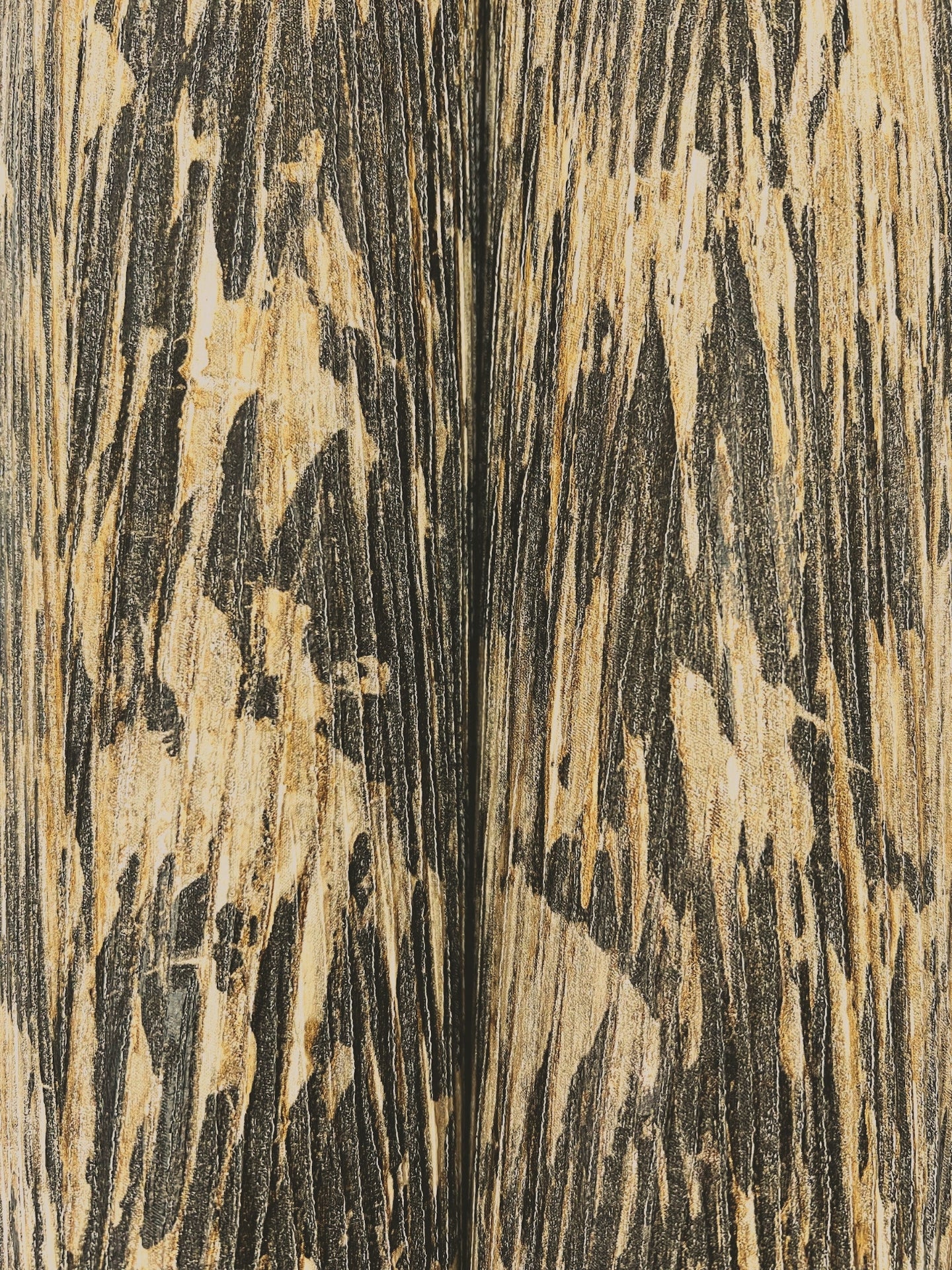 gilded-plume-wallpaper-black-york-wallcoverings-fm1004