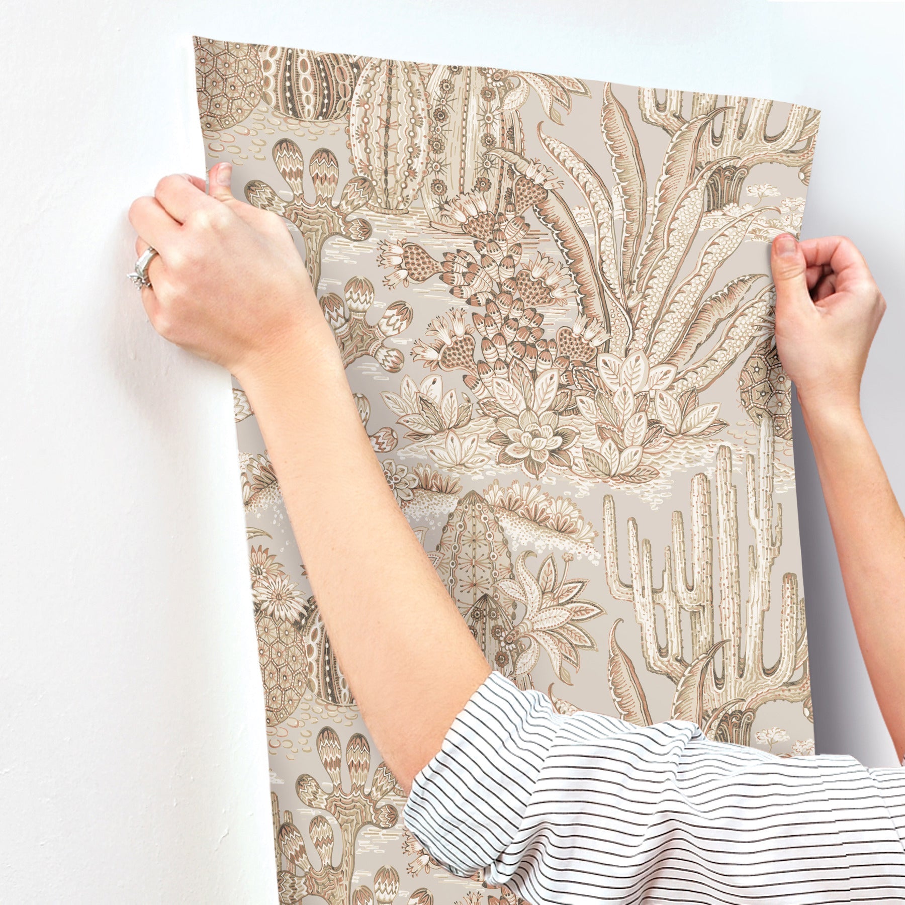 lotus-land-cacti-baked-clay-york-wallcoverings-mt5632