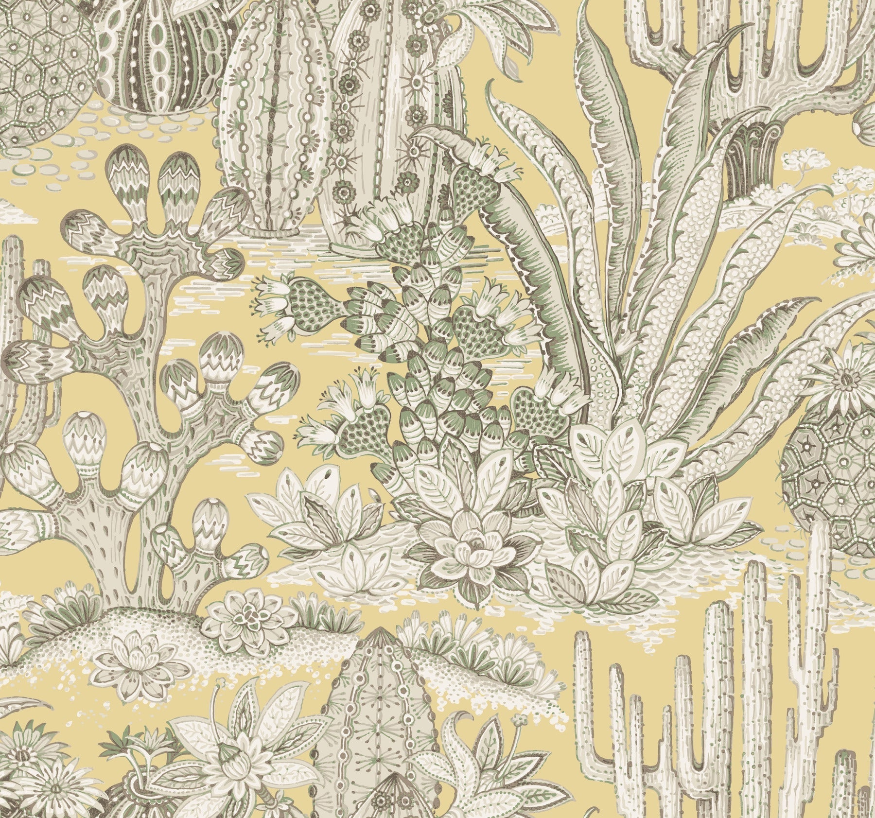 lotus-land-cacti-sunshine-york-wallcoverings-mt5635
