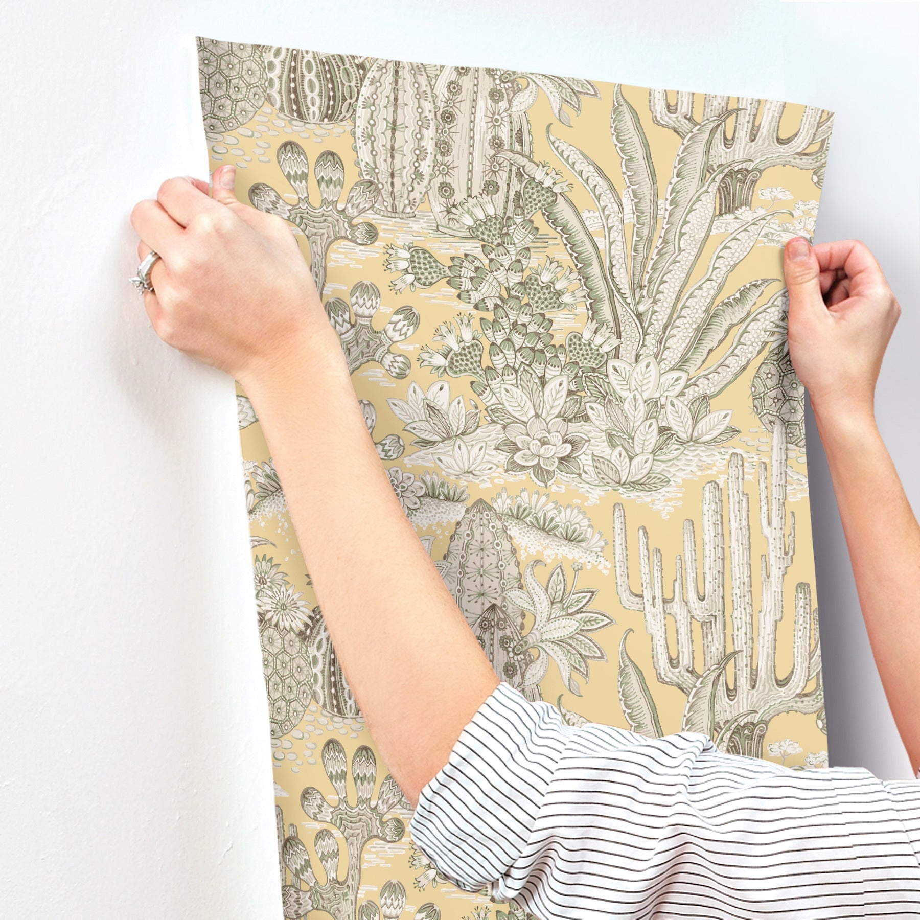 lotus-land-cacti-sunshine-york-wallcoverings-mt5635