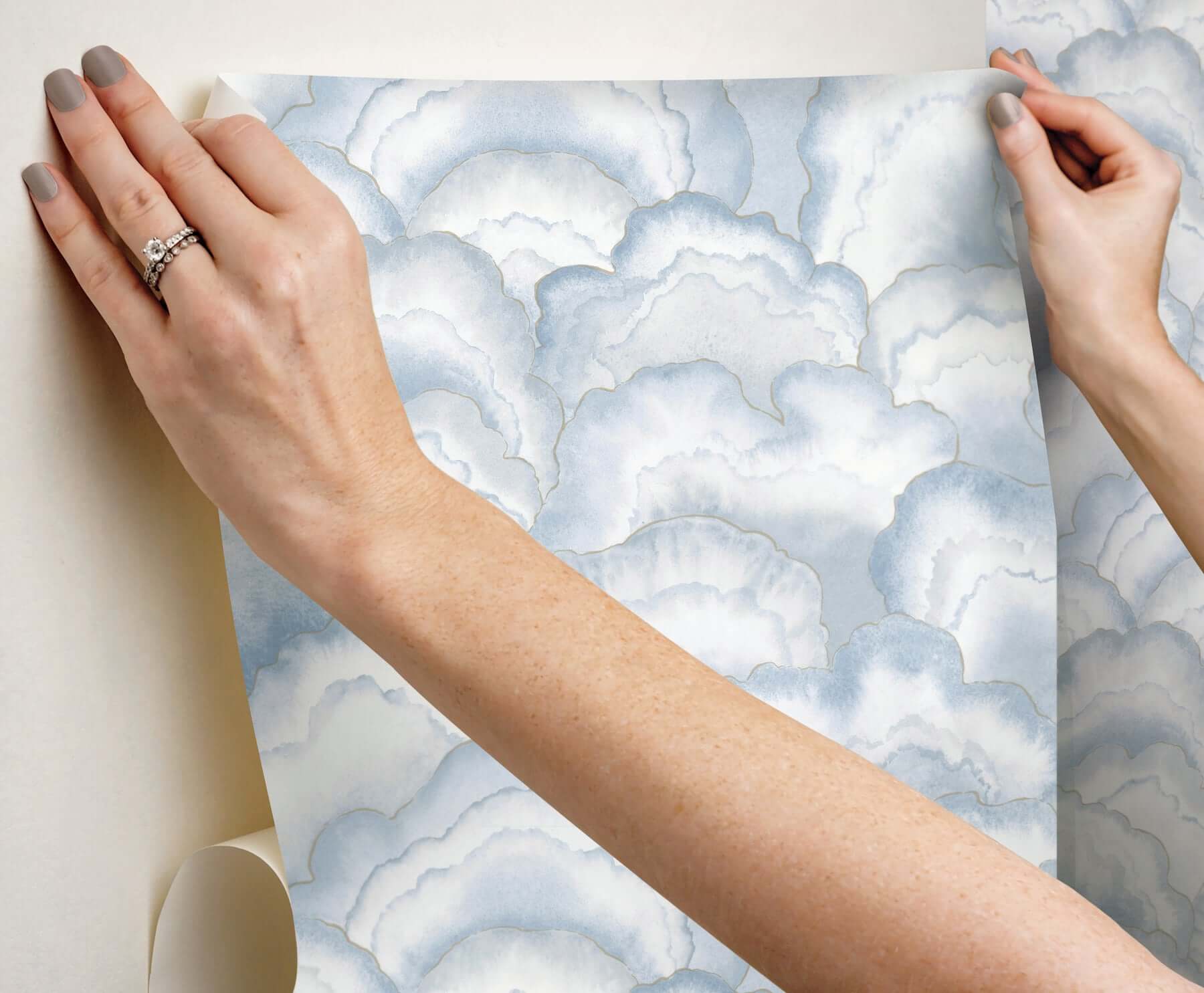 abalone-fans-premium-peel-stick-wallpaper-blue-york-wallcoverings-psw1616rl - York Wallcoverings Wallpaper