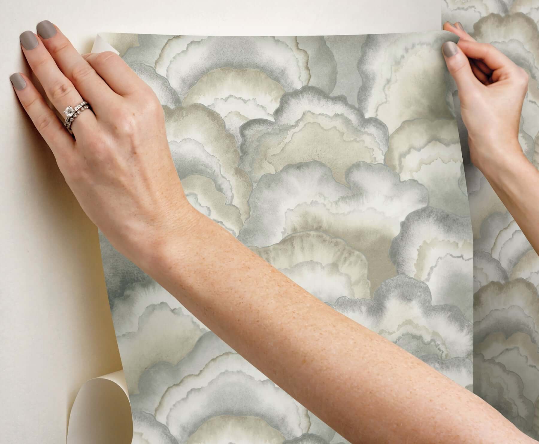 abalone-fans-smokey-peel-stick-wallpaper-york-wallcoverings-psw1615rl - York Wallpaper Wallpaper