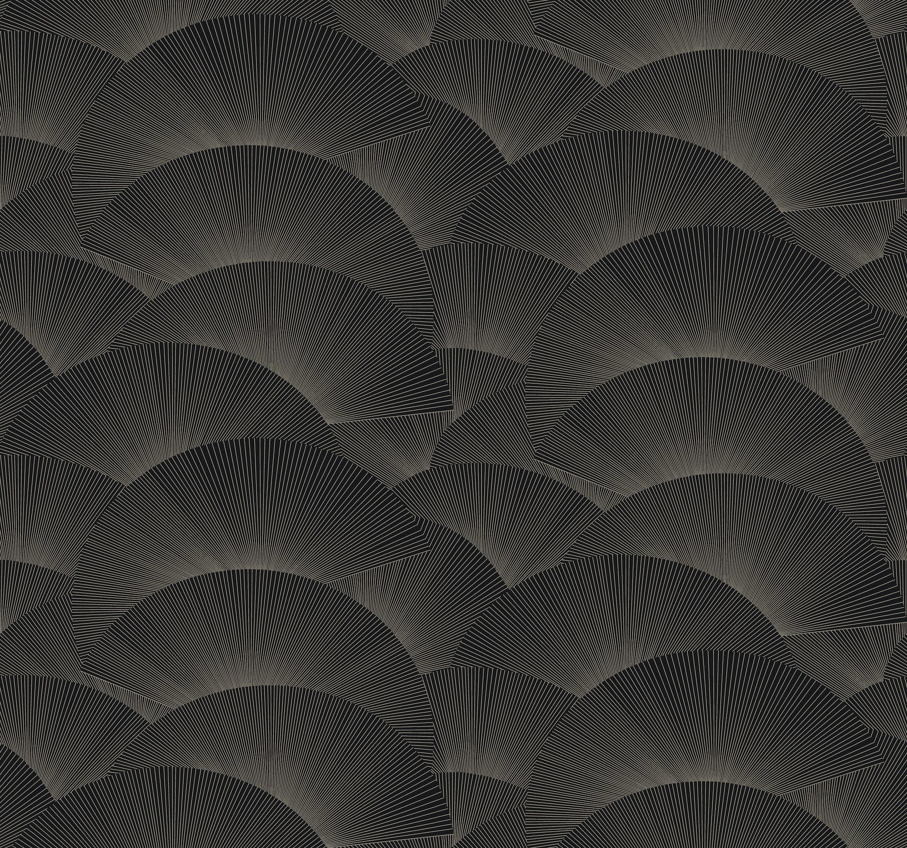 morning-shell-wallpaper-black-grey-york-wallcoverings-za8022