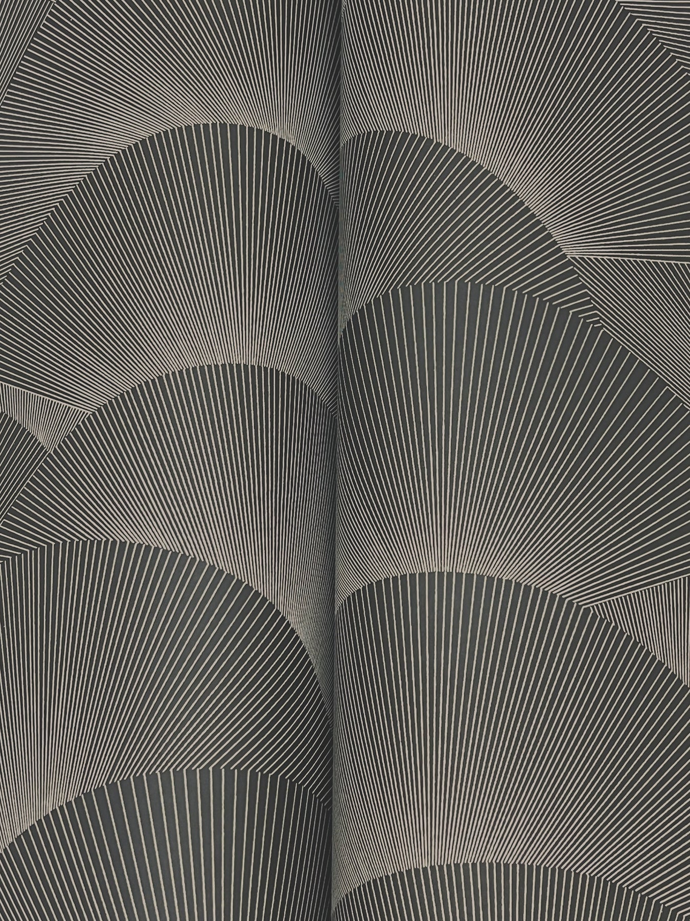 morning-shell-wallpaper-black-grey-york-wallcoverings-za8022