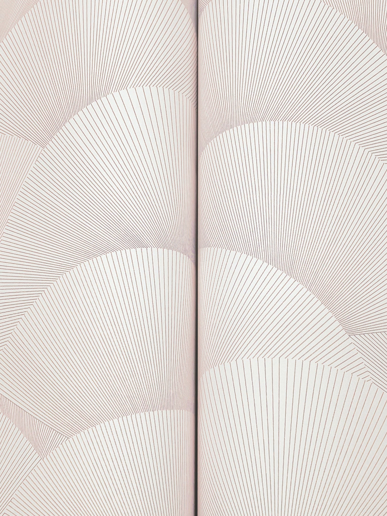 morning-shell-wallpaper-blush-york-wallcoverings-za8026