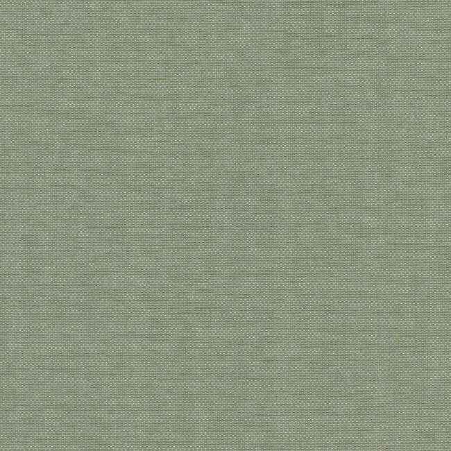 Hint Willow York High Performance Textile Wallcovering - York Wallcoverings - 203-19 - York Wallcoverings Wallpaper